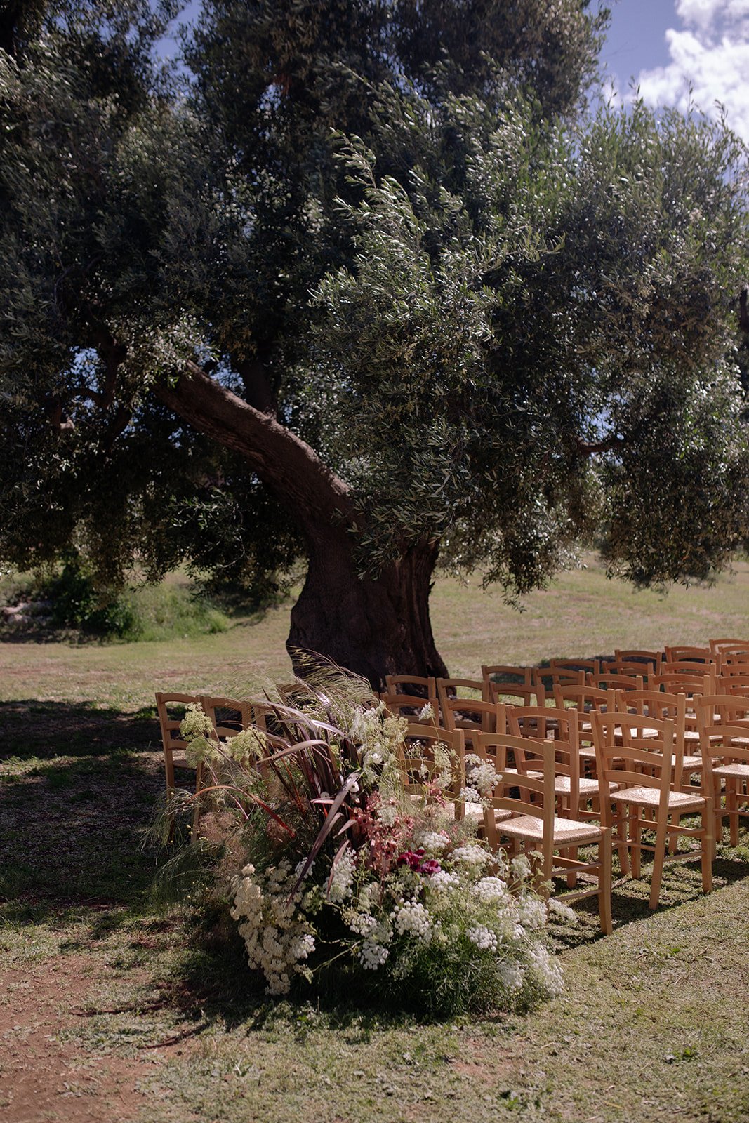 taylor_quinn_masseria_calderisi-0018.jpg