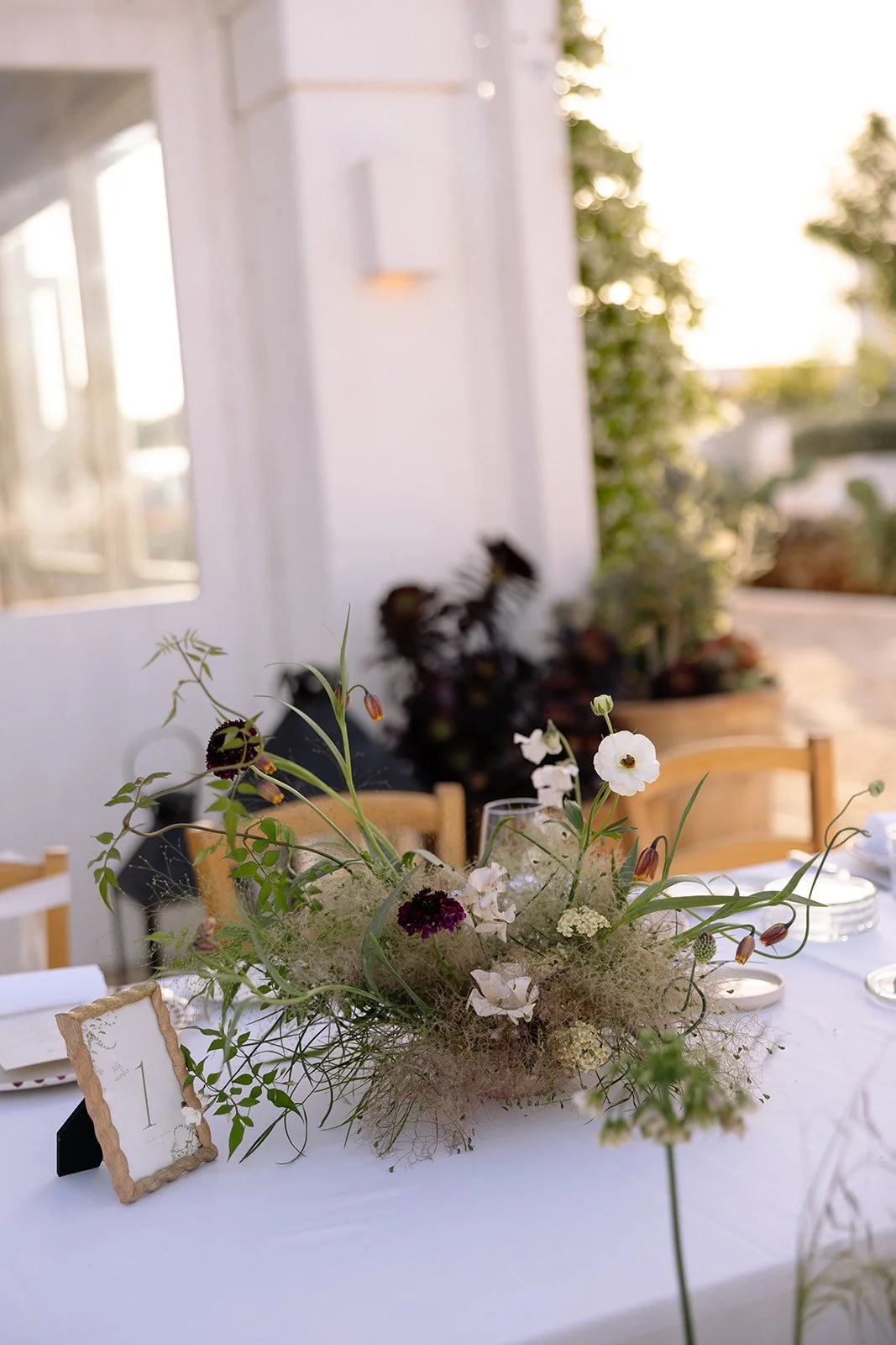 taylor_quinn_masseria_calderisi-6881.jpg