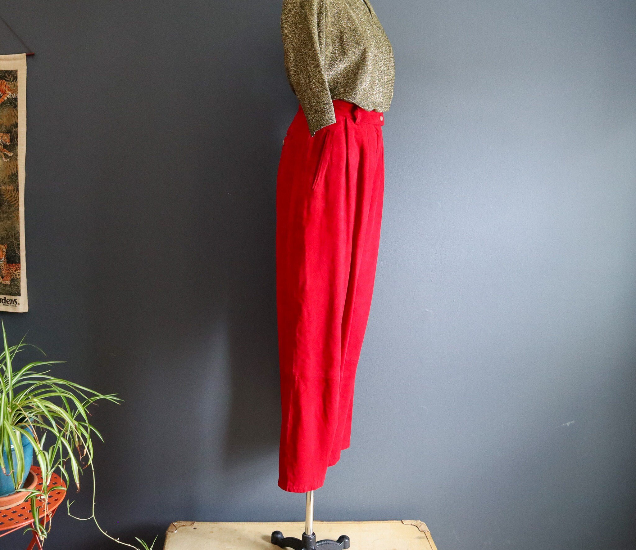 https://i.etsystatic.com/20806851/r/il/45a299/5754545847/il_fullxfull.5754545847_ovnw.jpg