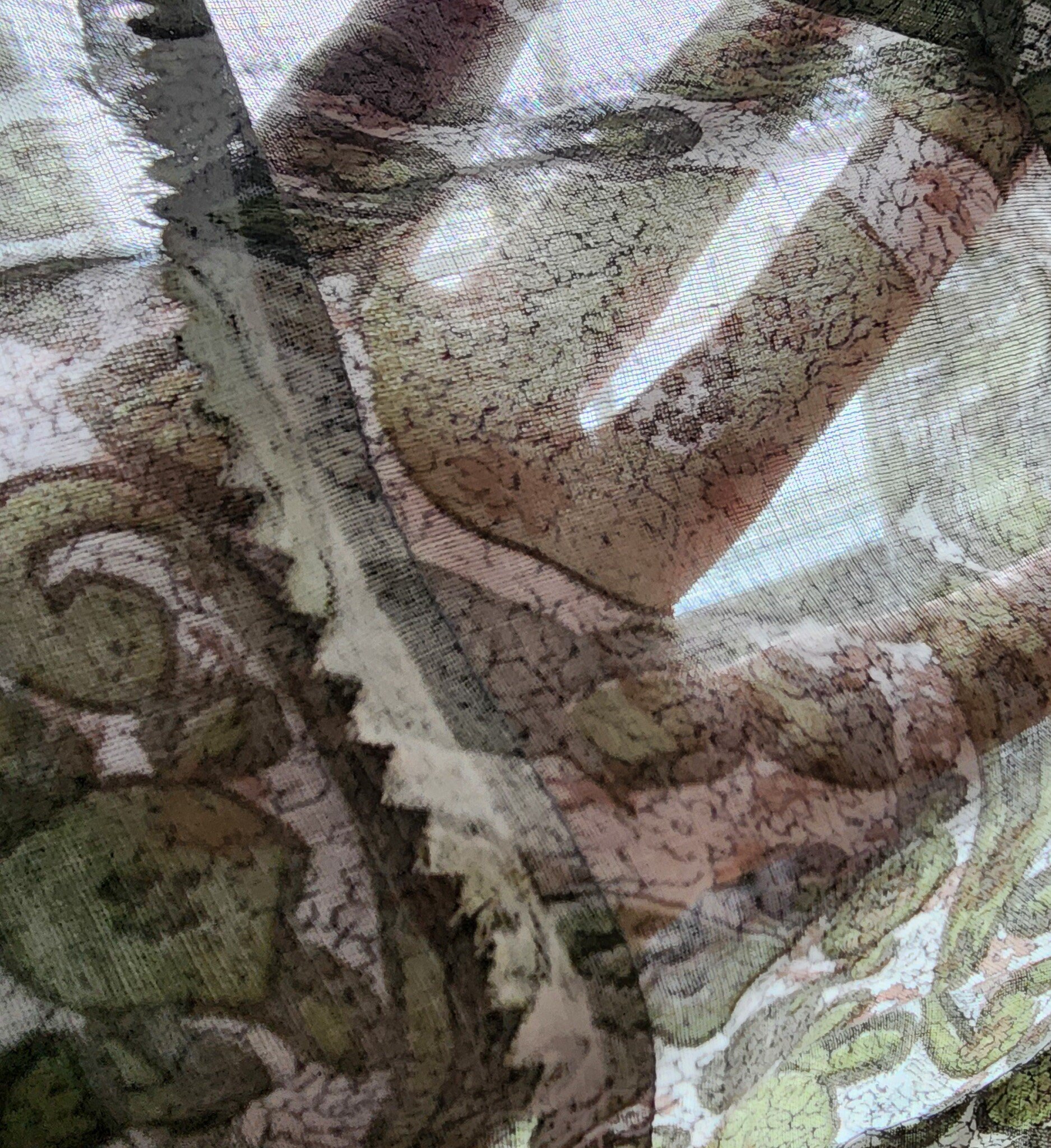 Pinked seams in 1960s sheer green floral dress