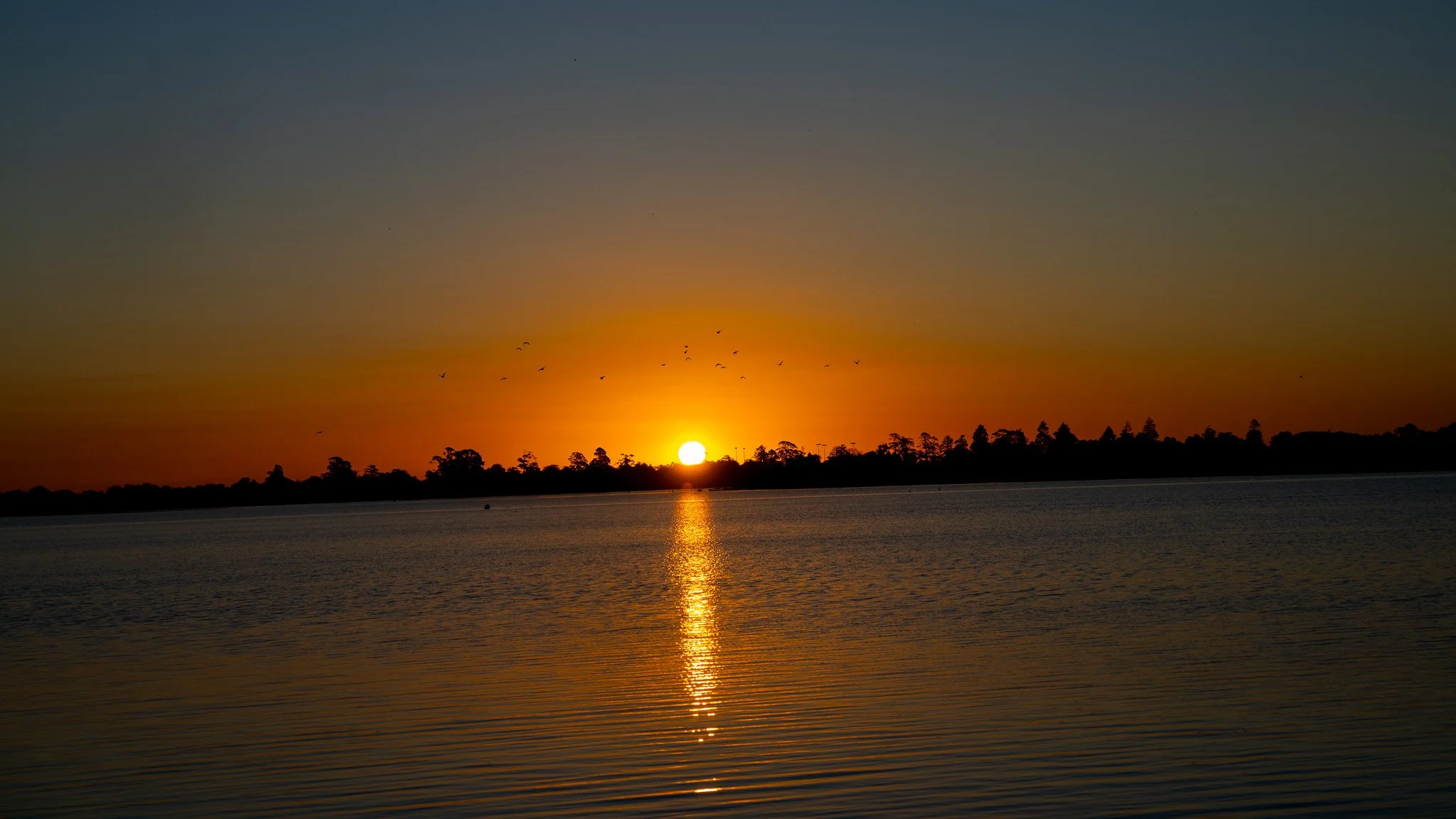Lake Wendouree