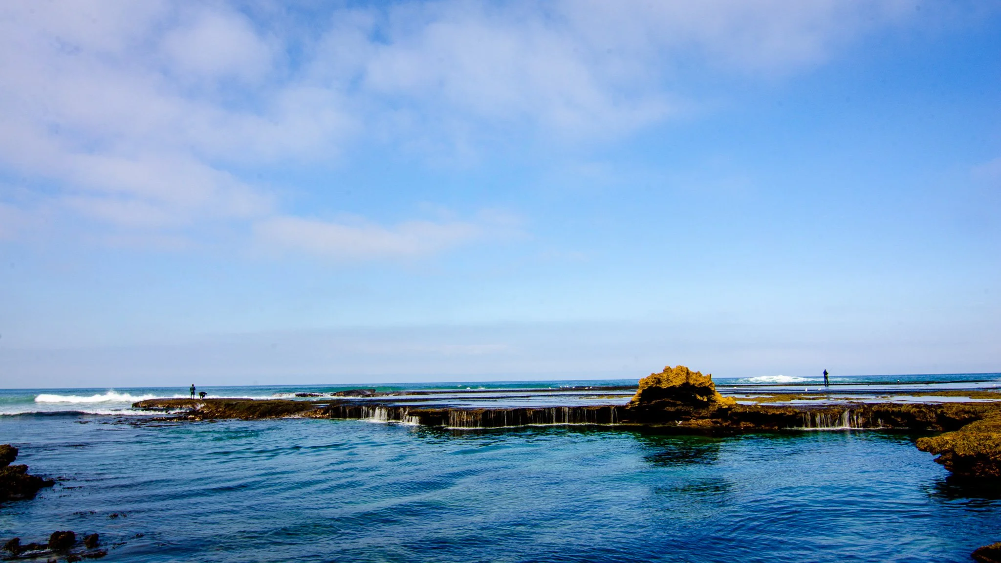 DSC_3780.jpg