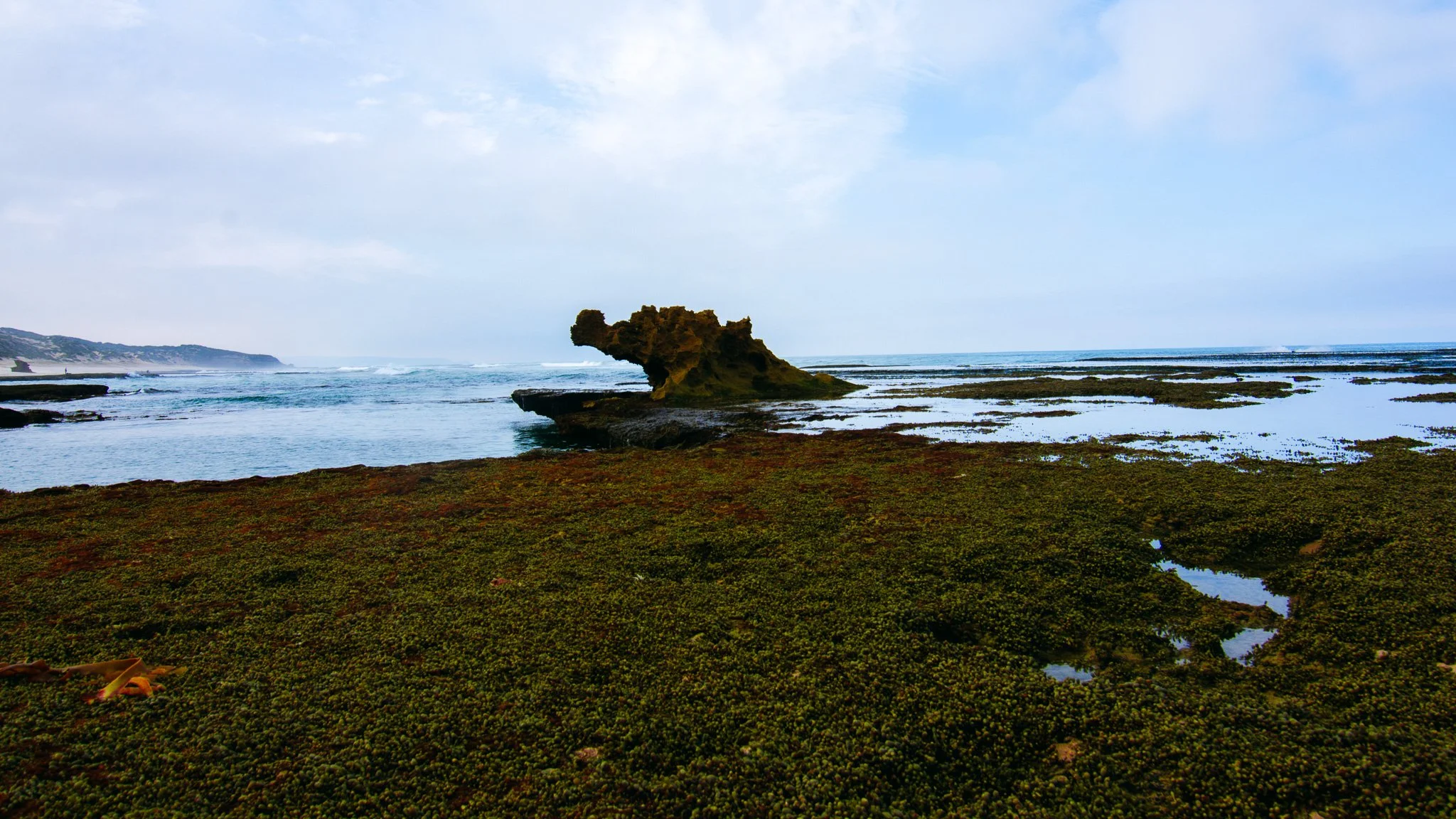 DSC_3765.jpg