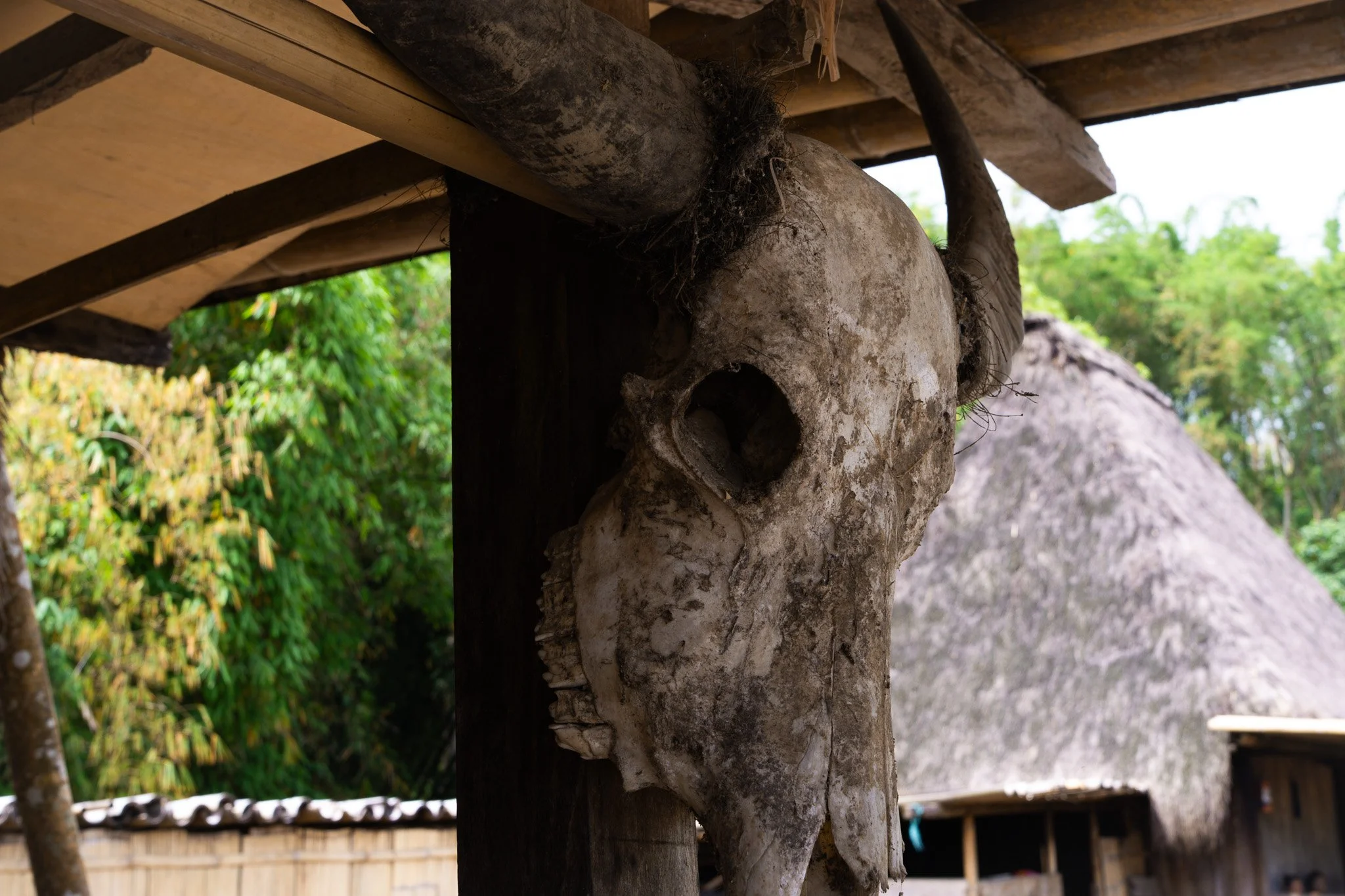 Traditional Village of Ngada