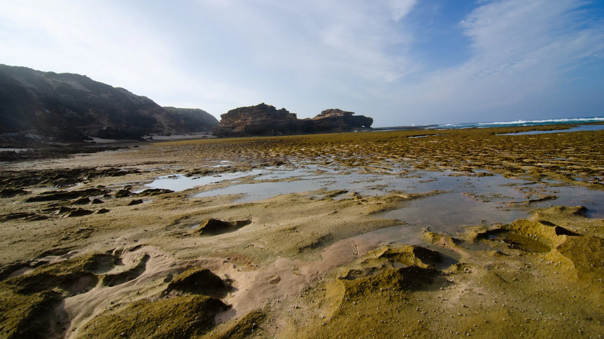 DSC_3744.jpg