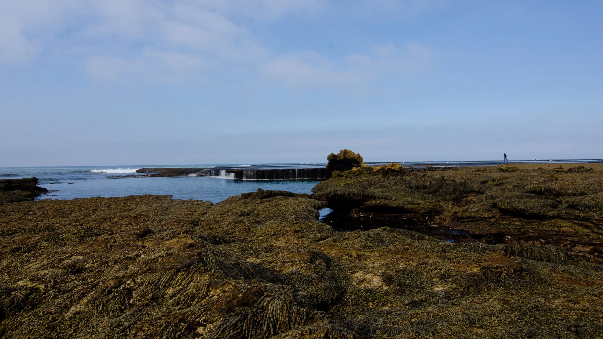 DSC_3775.jpg