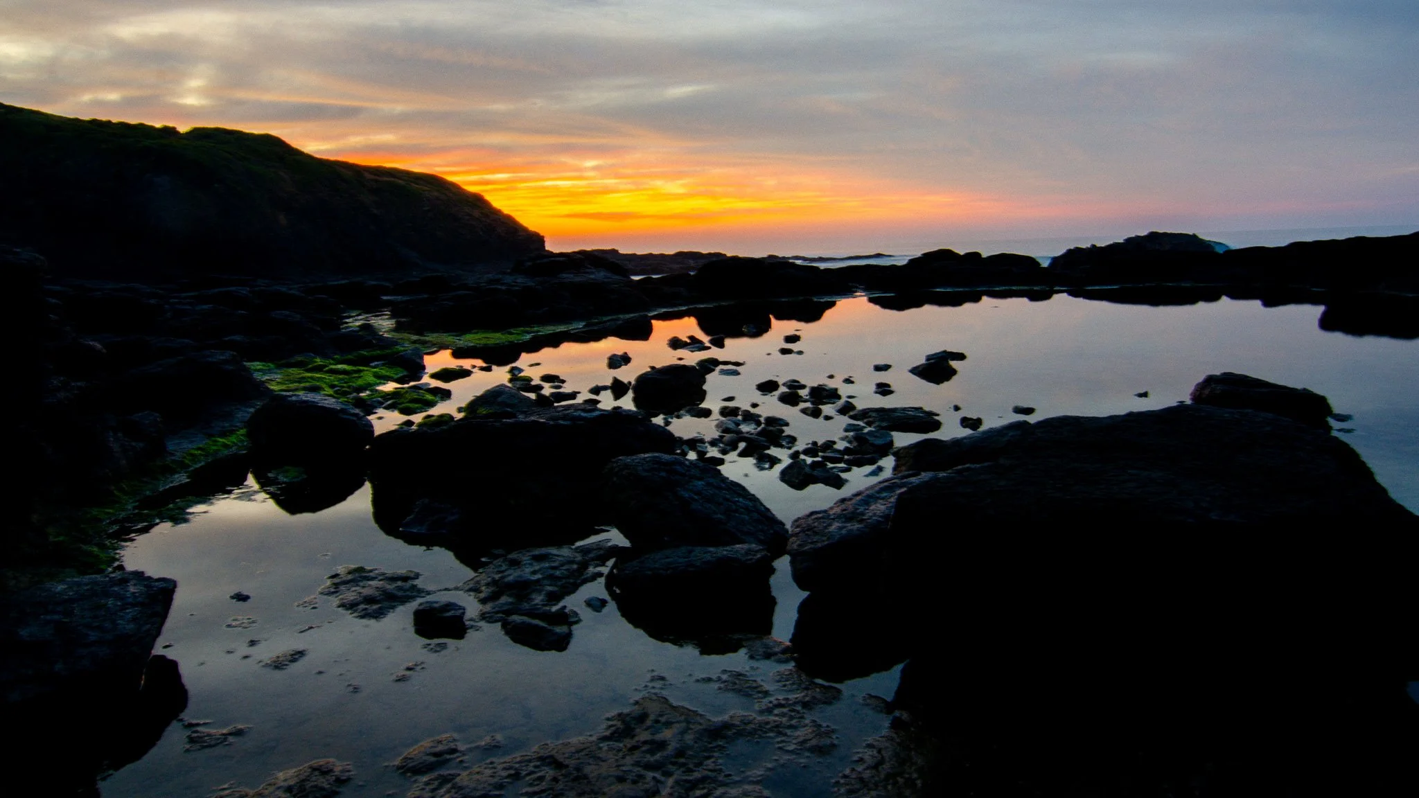 DSC_3592.jpg