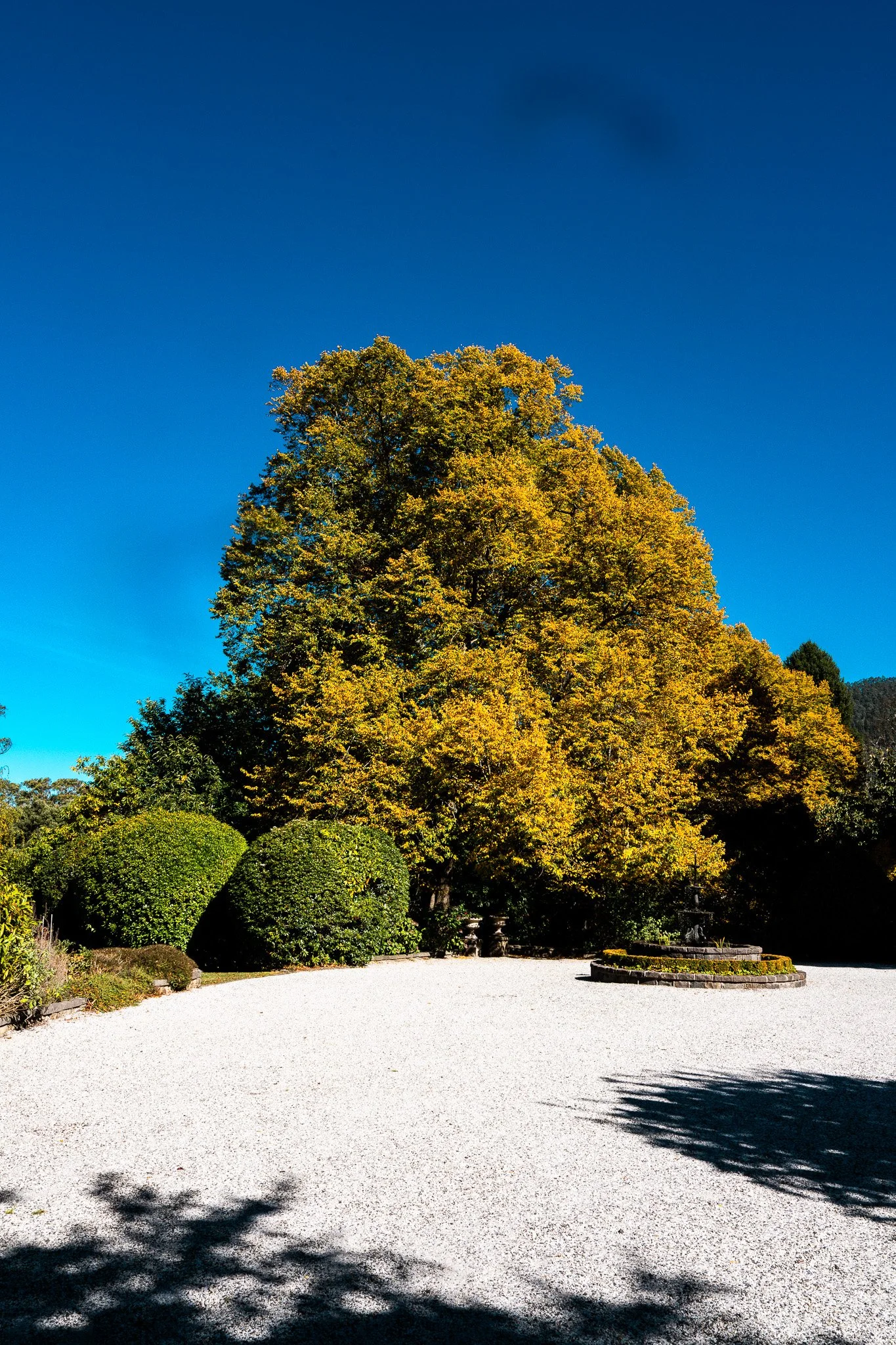 DSC03016.jpg