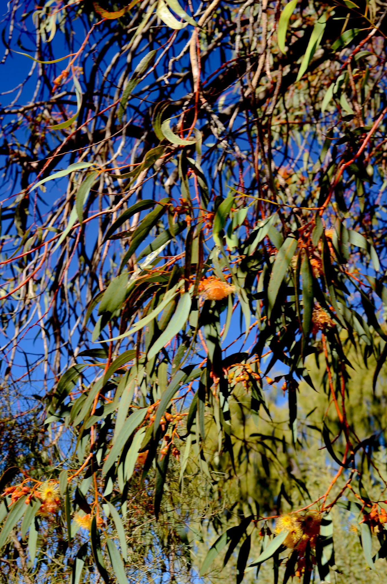 DSC_4025.jpg