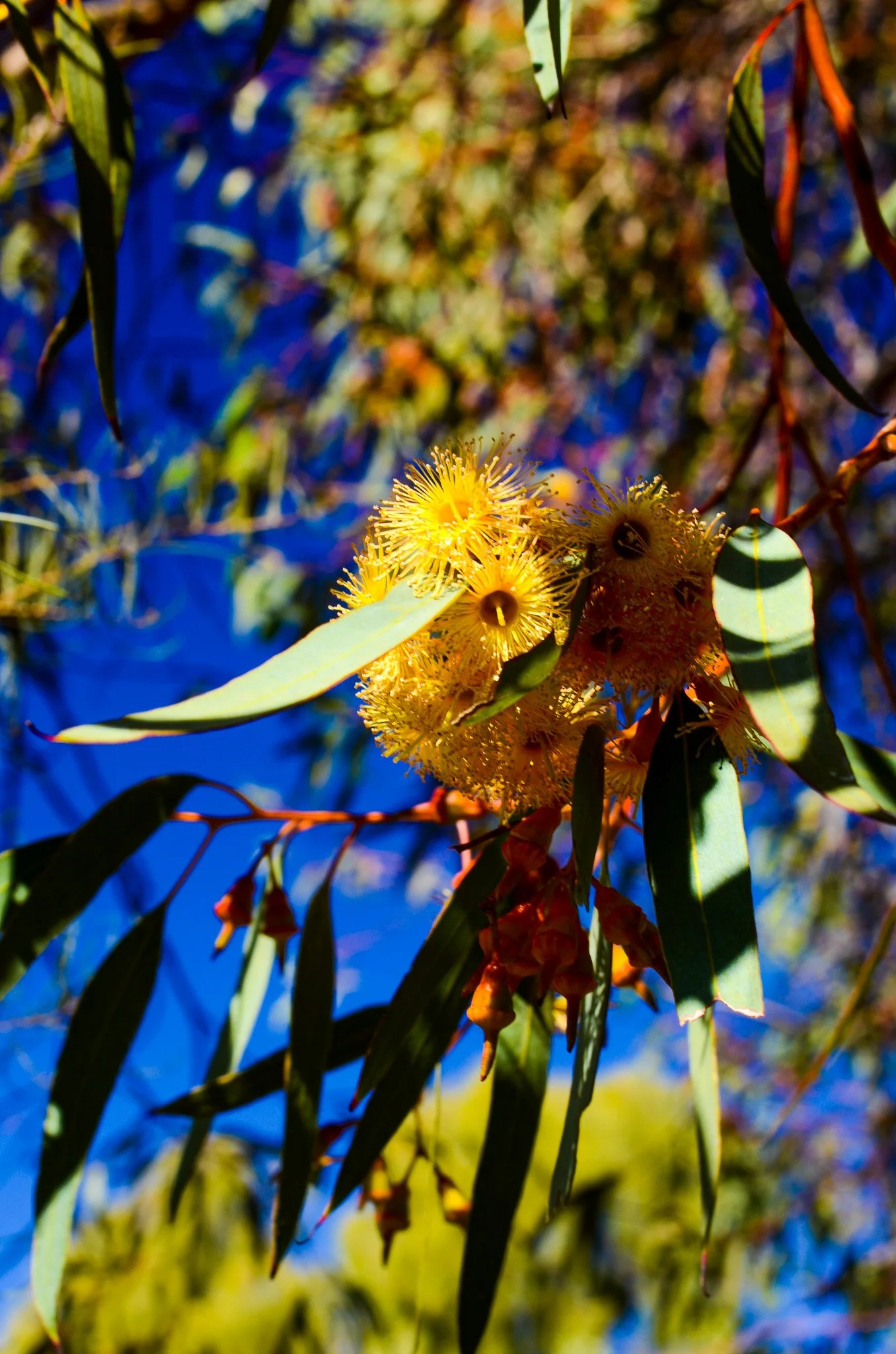 DSC_4024.jpg