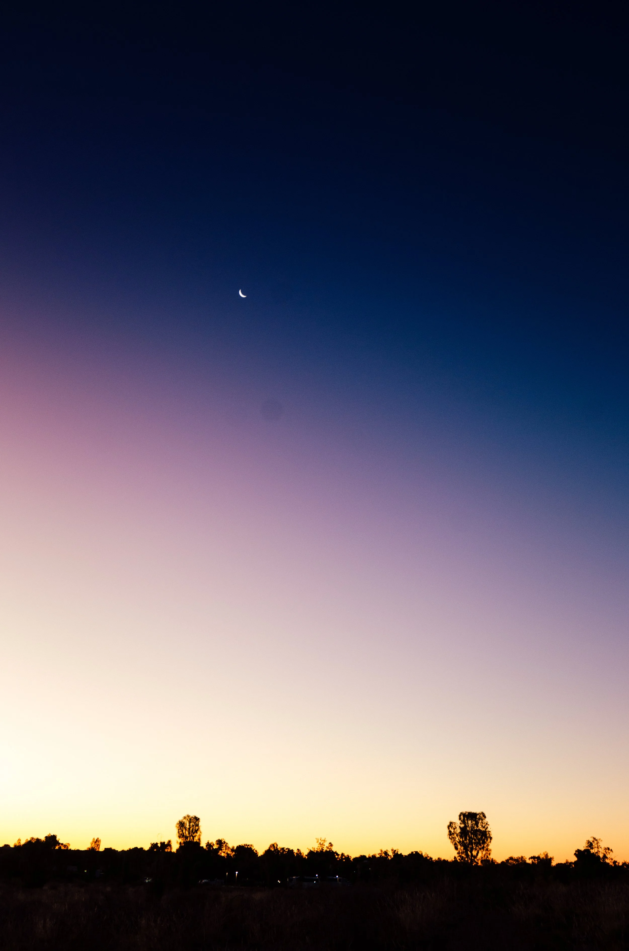 DSC_4112_1.jpg