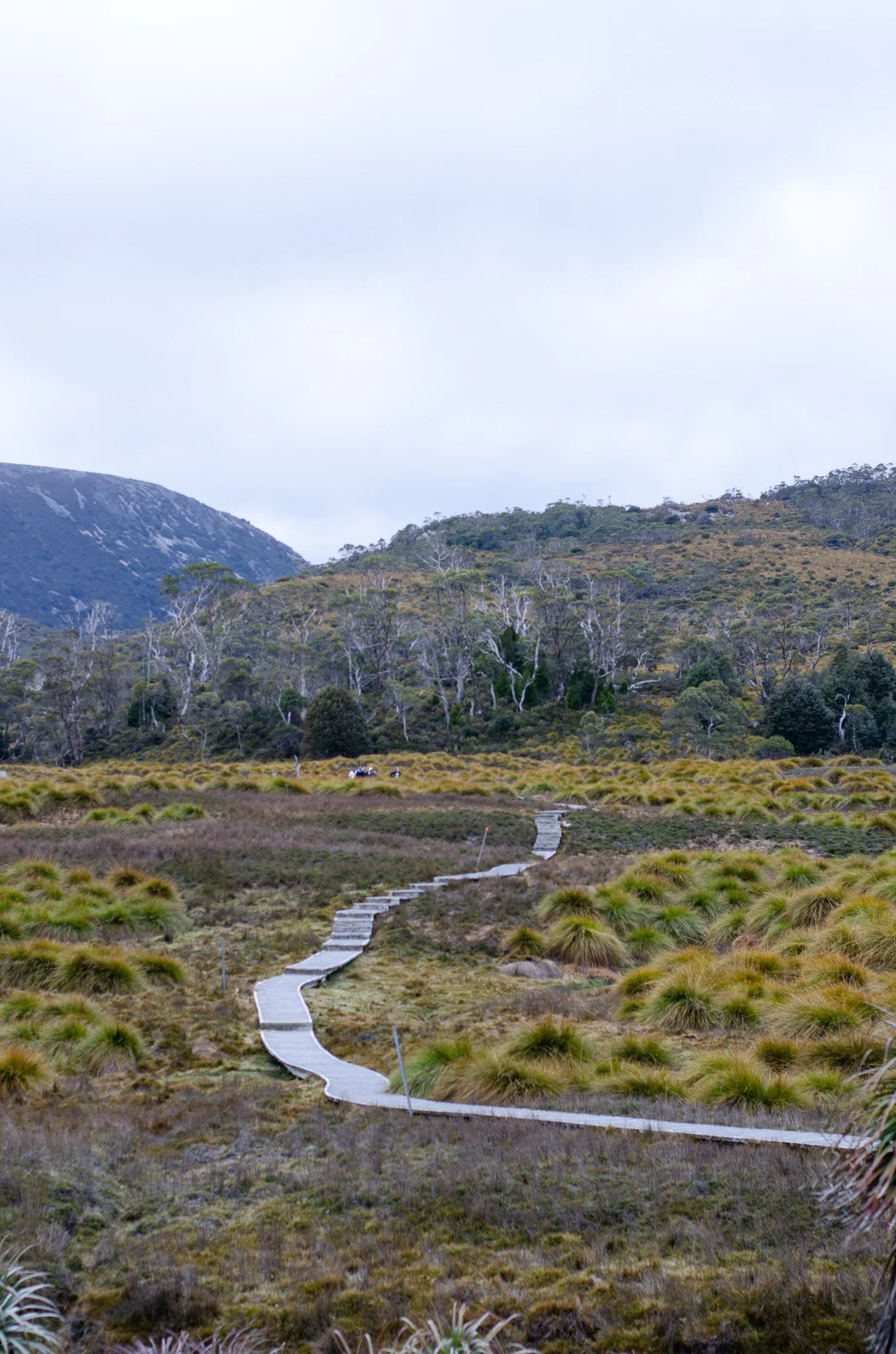 DSC_1698.jpg