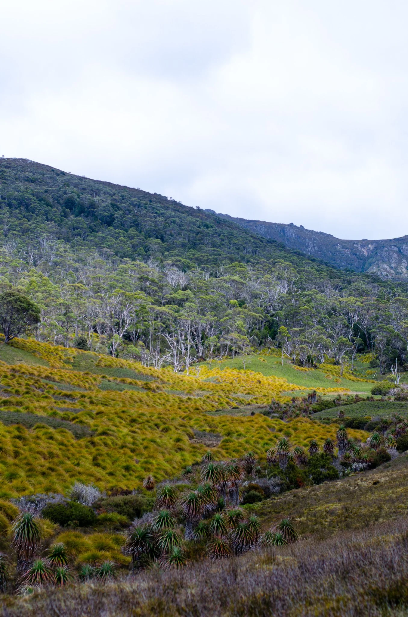 DSC_1710.jpg