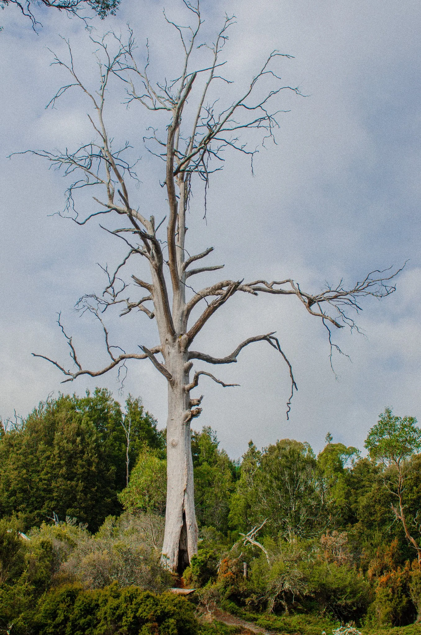 DSC_1792.jpg