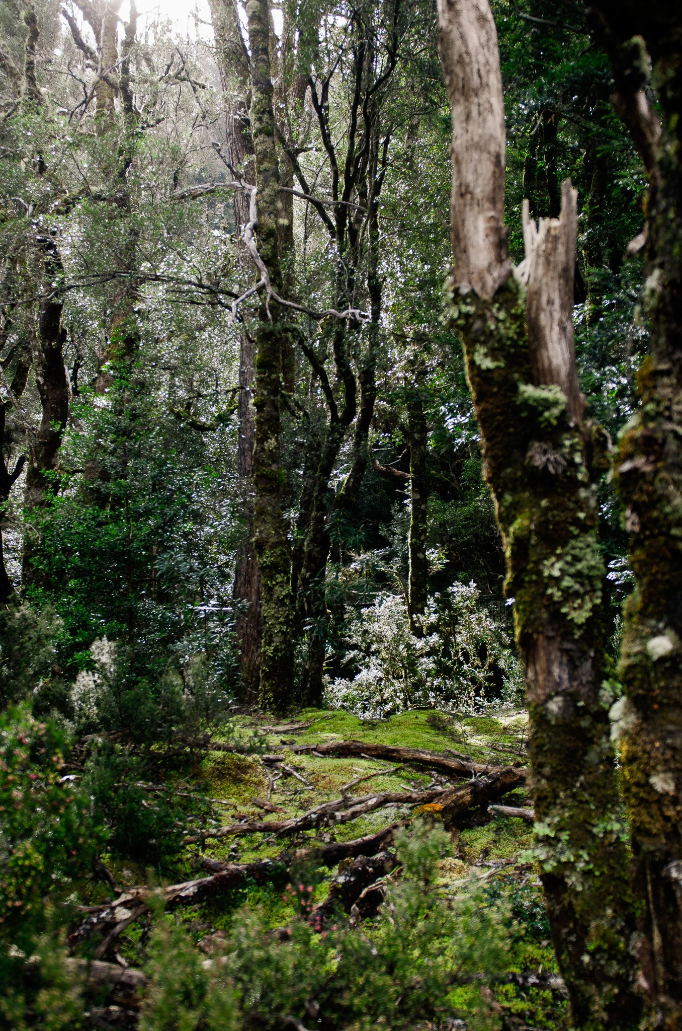 DSC_1797.jpg