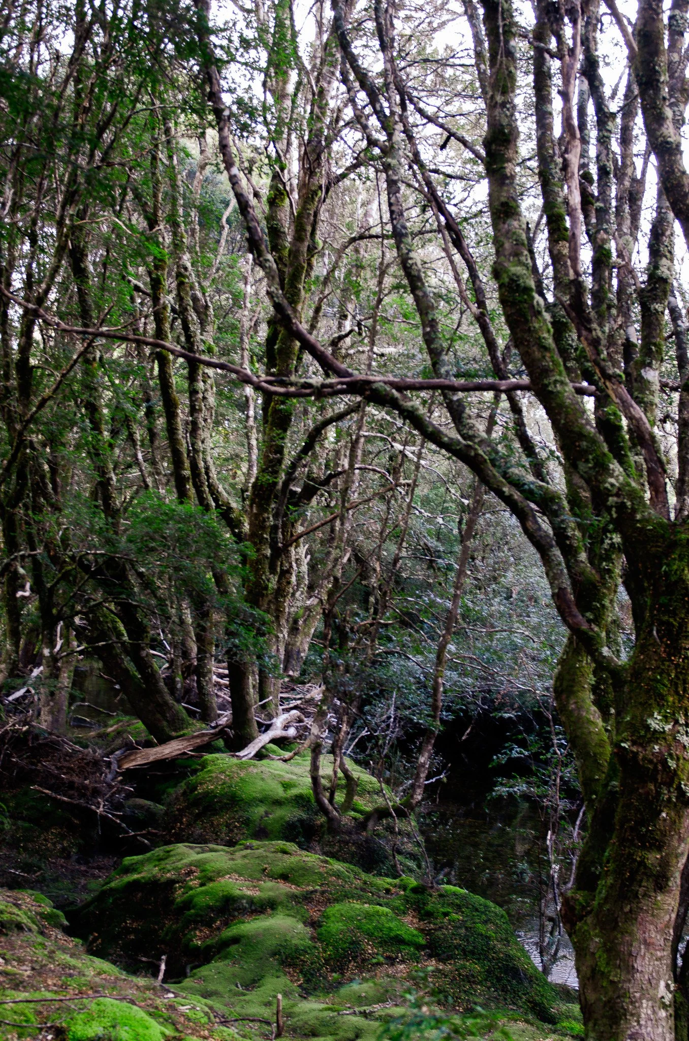 DSC_1811.jpg