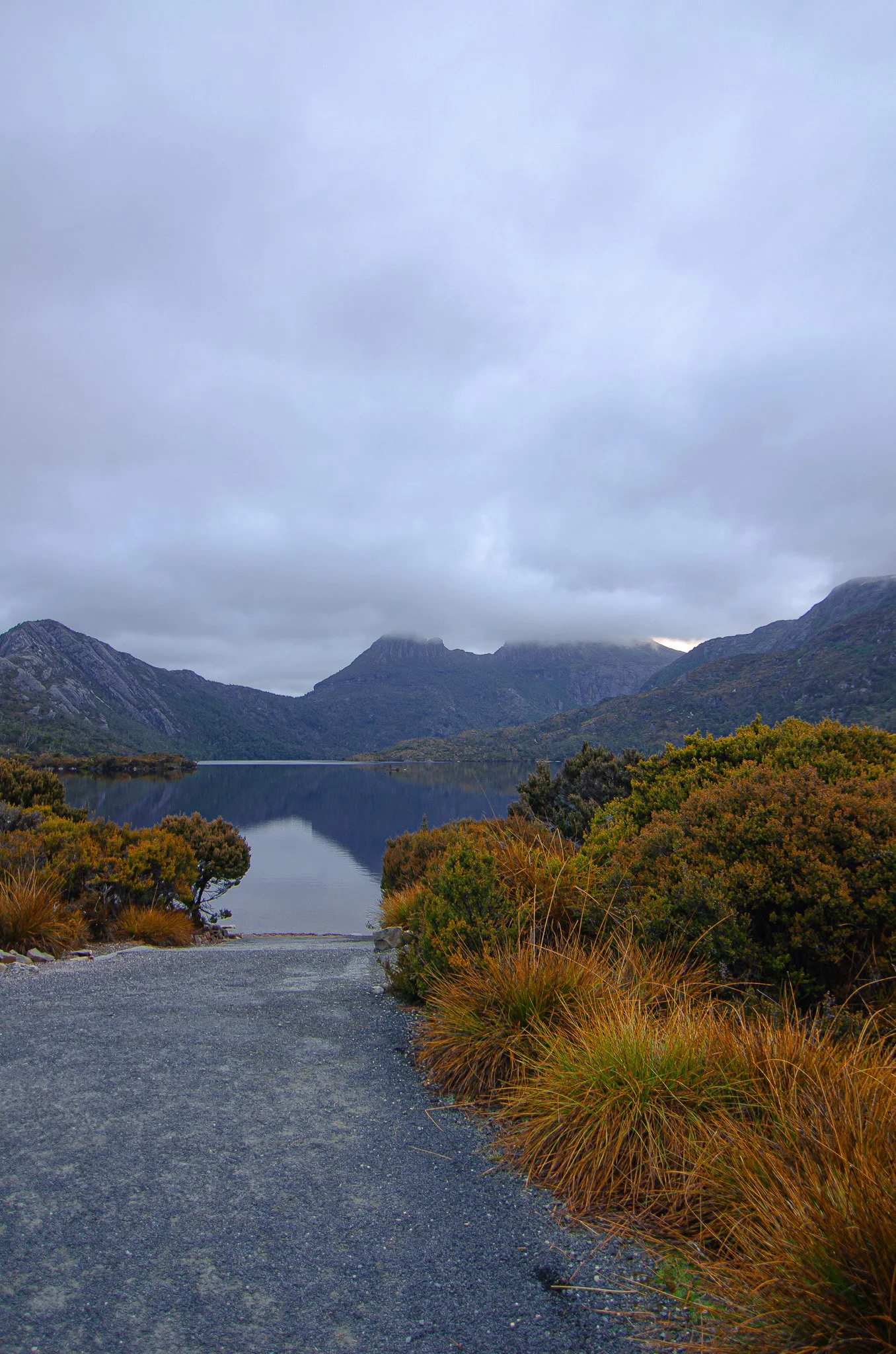 DSC_1908.jpg