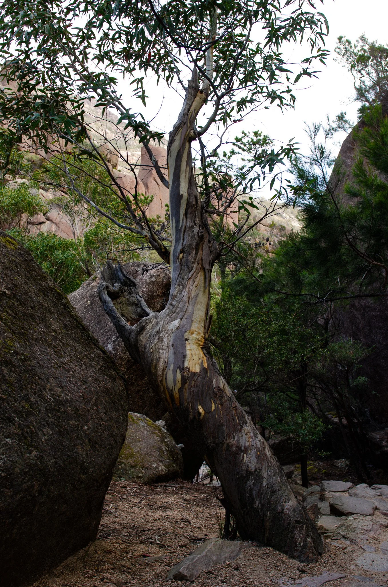 DSC_1969.jpg
