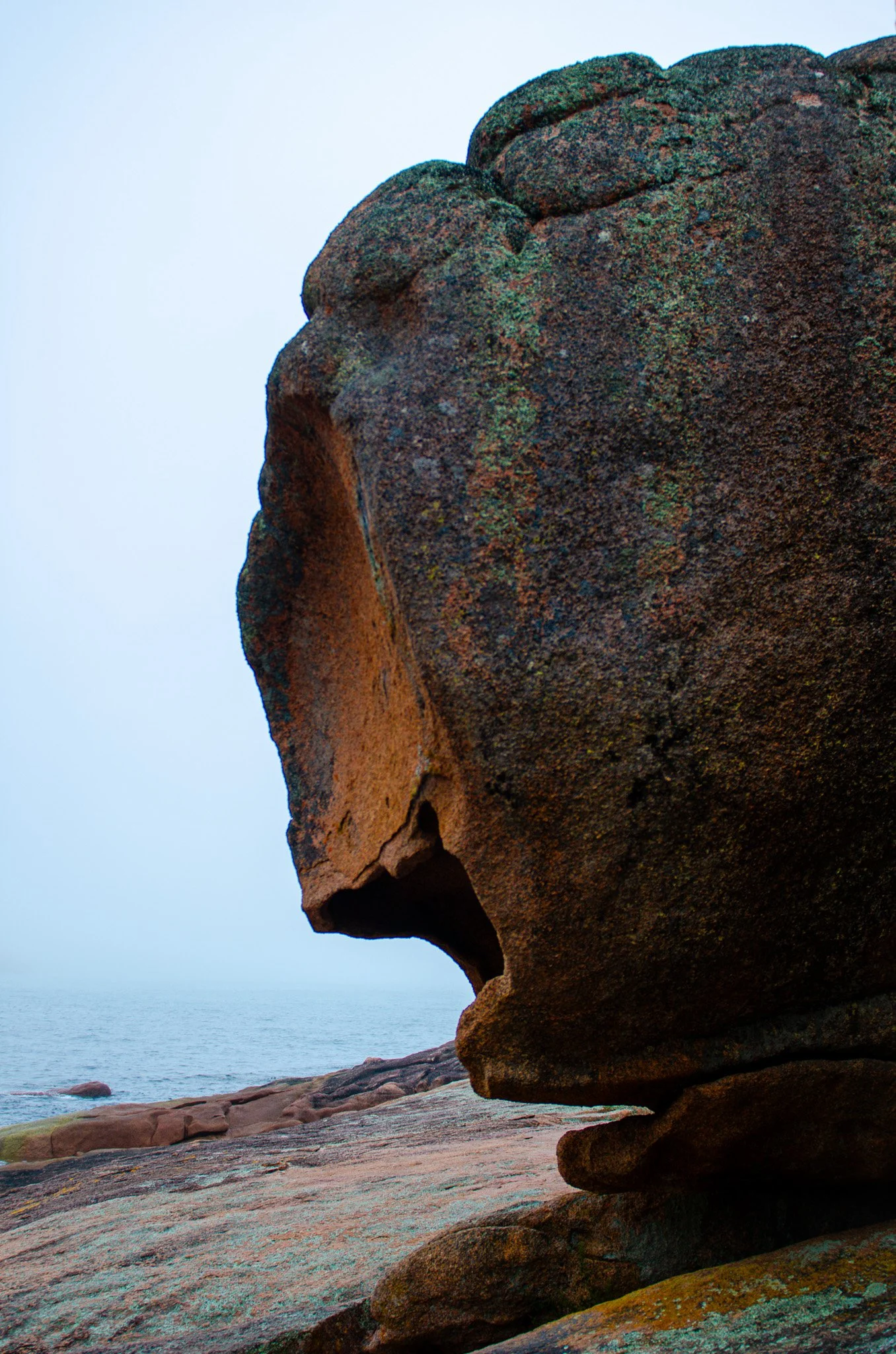 DSC_2076.jpg