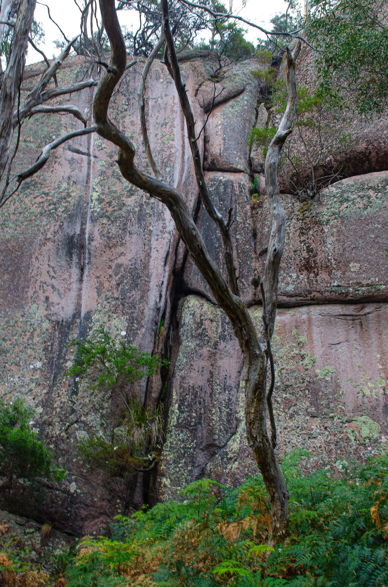 DSC_2095.jpg