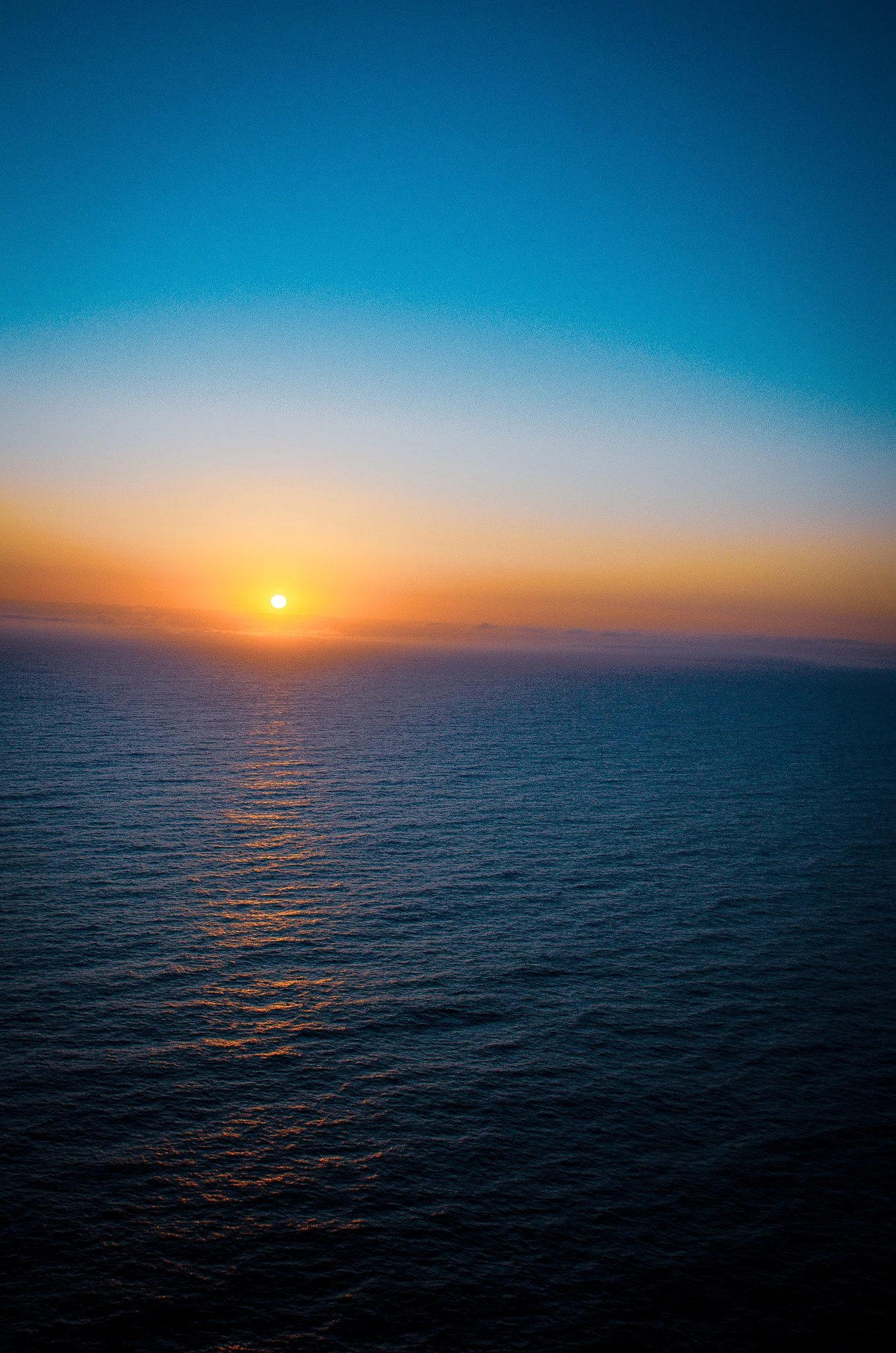 DSC_2297.jpg