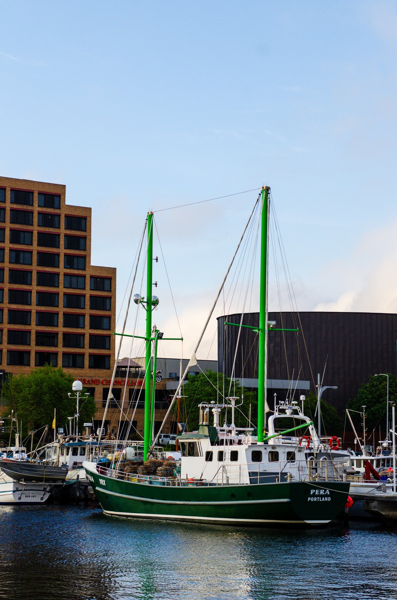 DSC_2456.jpg