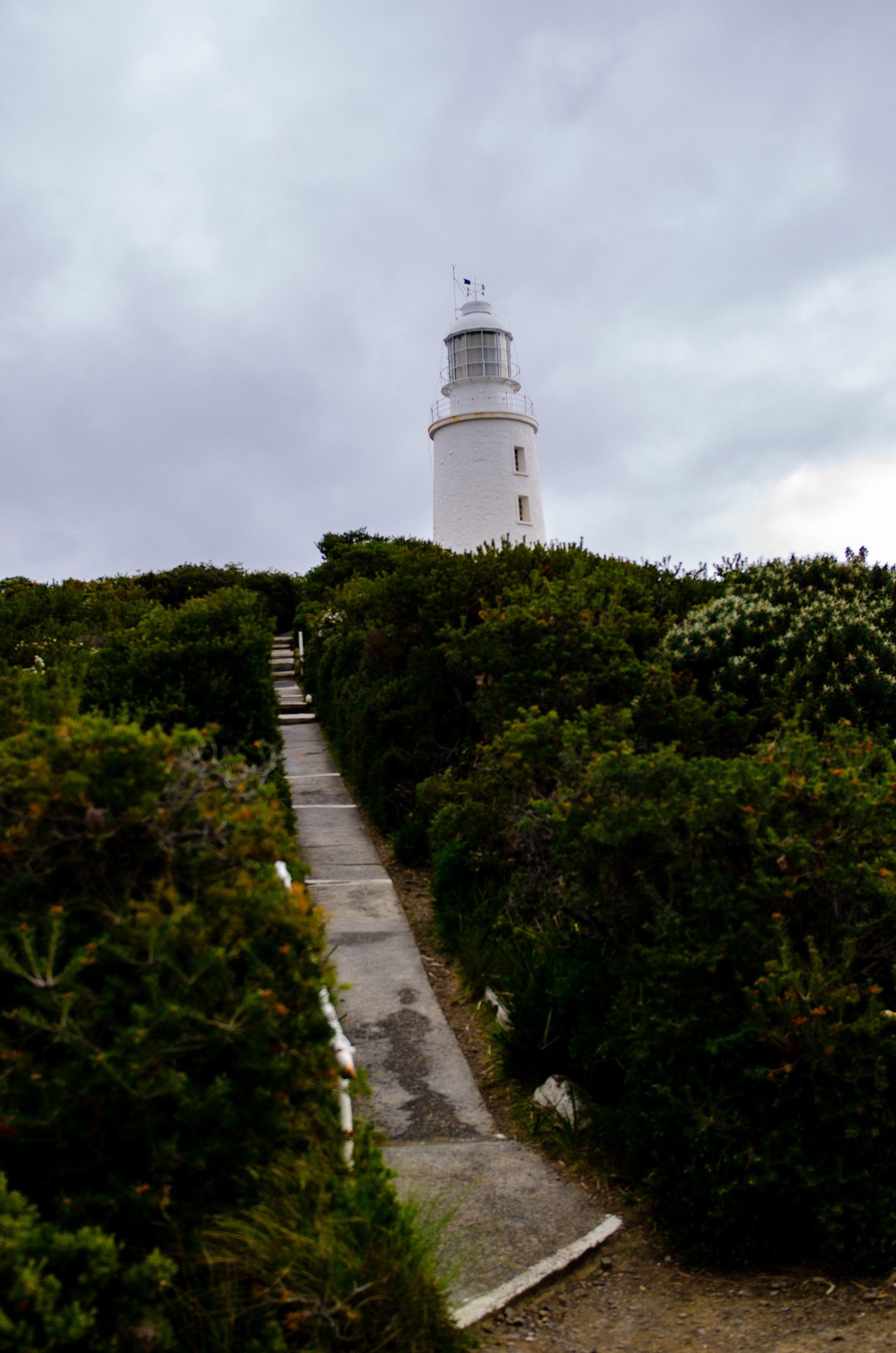 DSC_2551.jpg