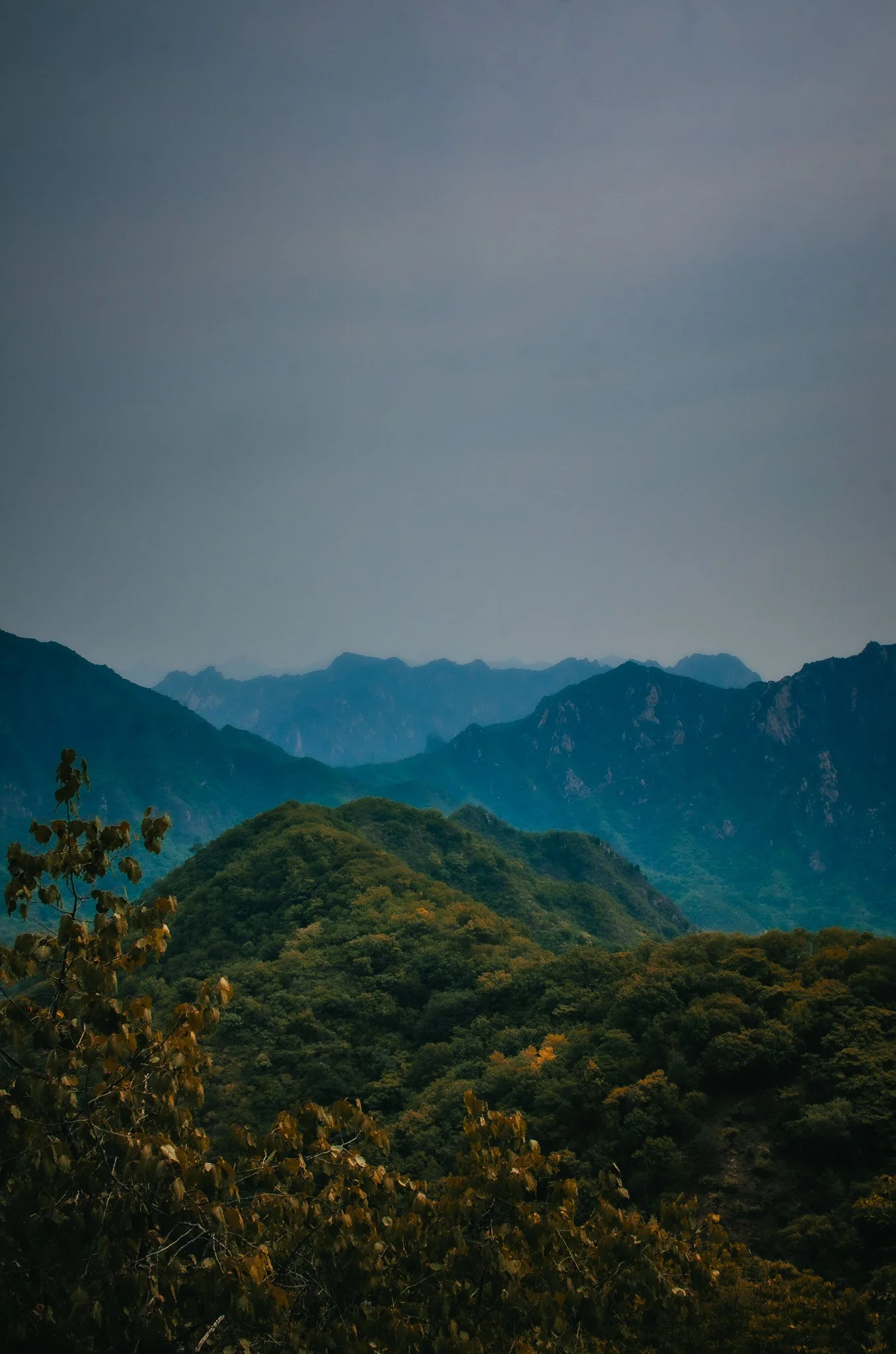 DSC_6464-2.jpg