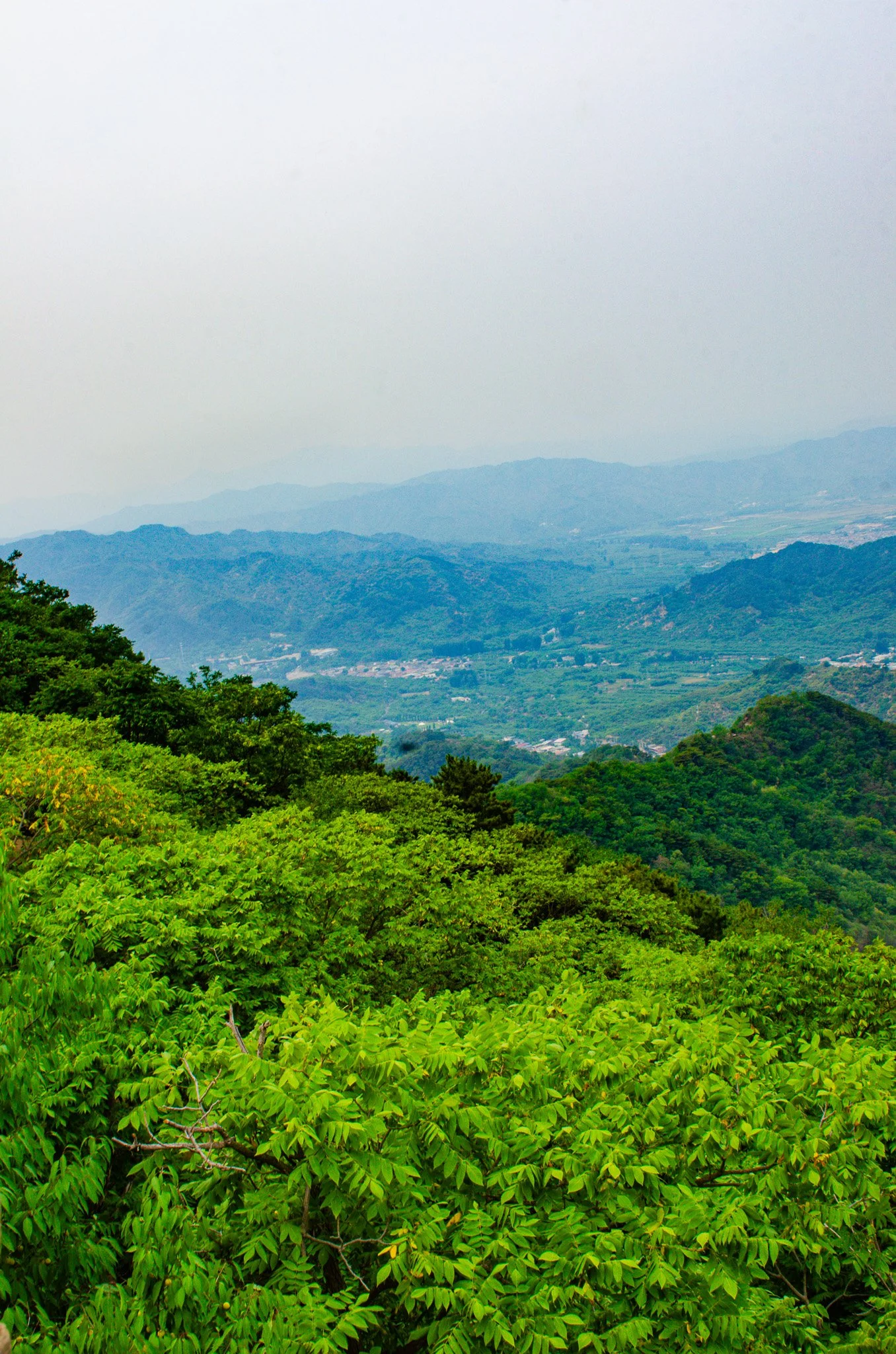 DSC_6456.jpg