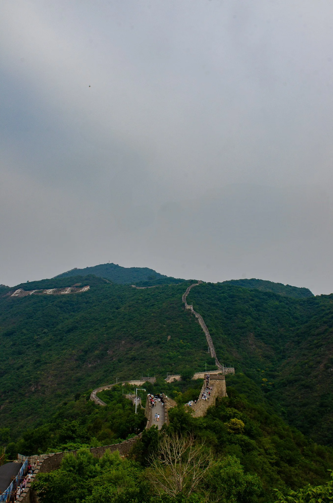 DSC_6466.jpg