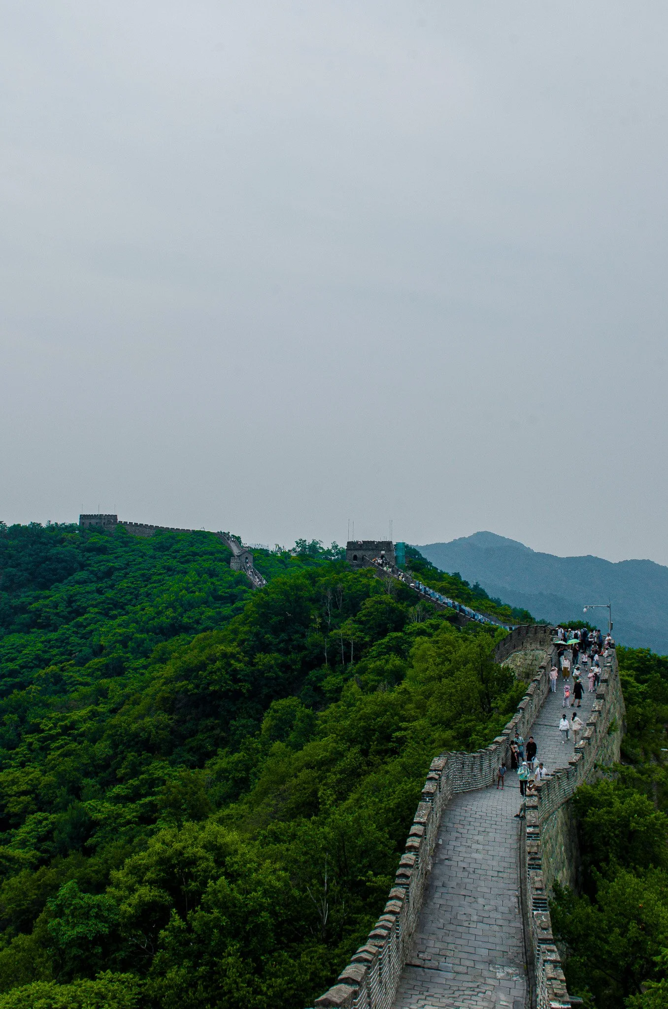 DSC_6471-2.jpg