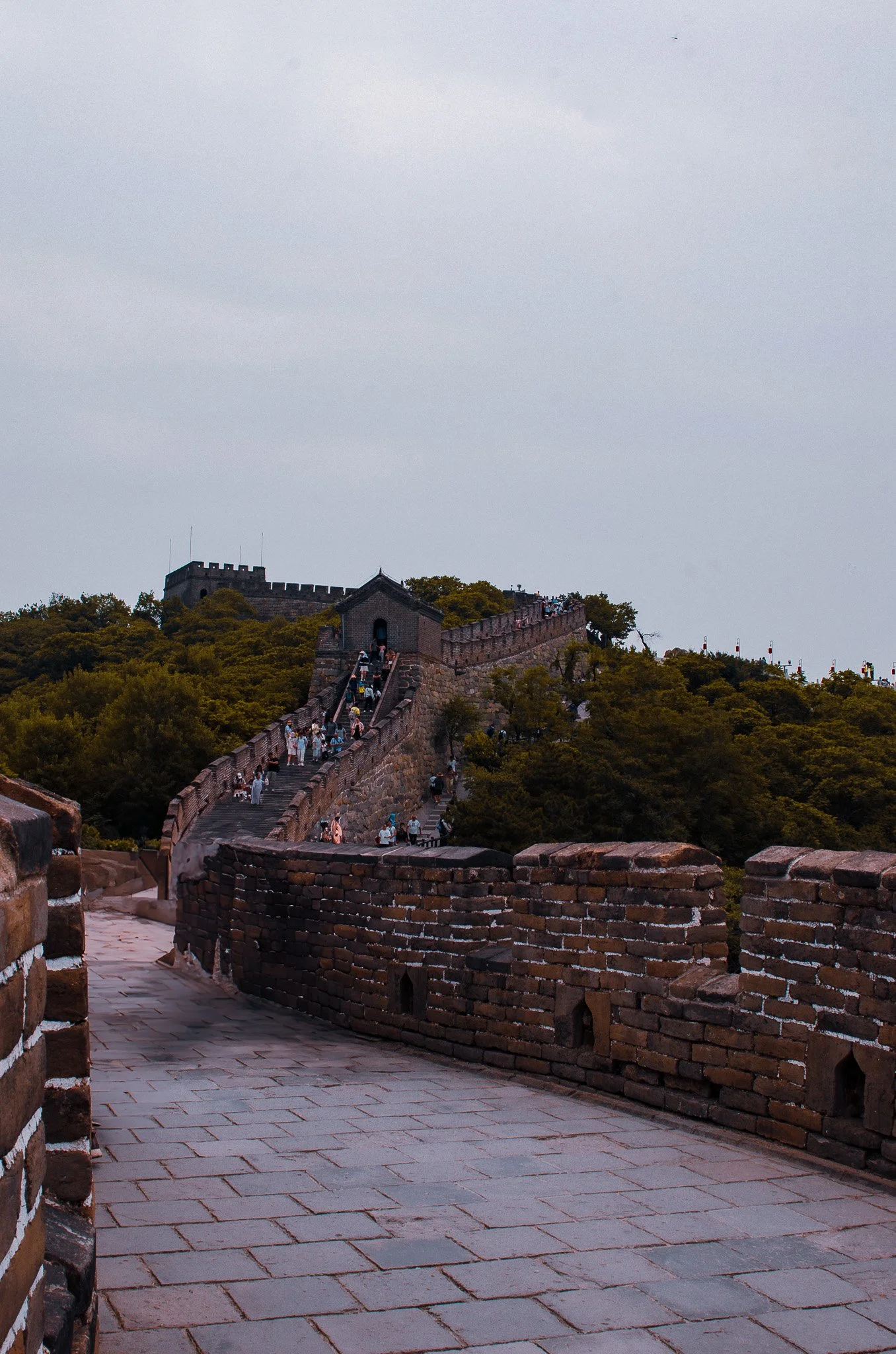 DSC_6475.jpg