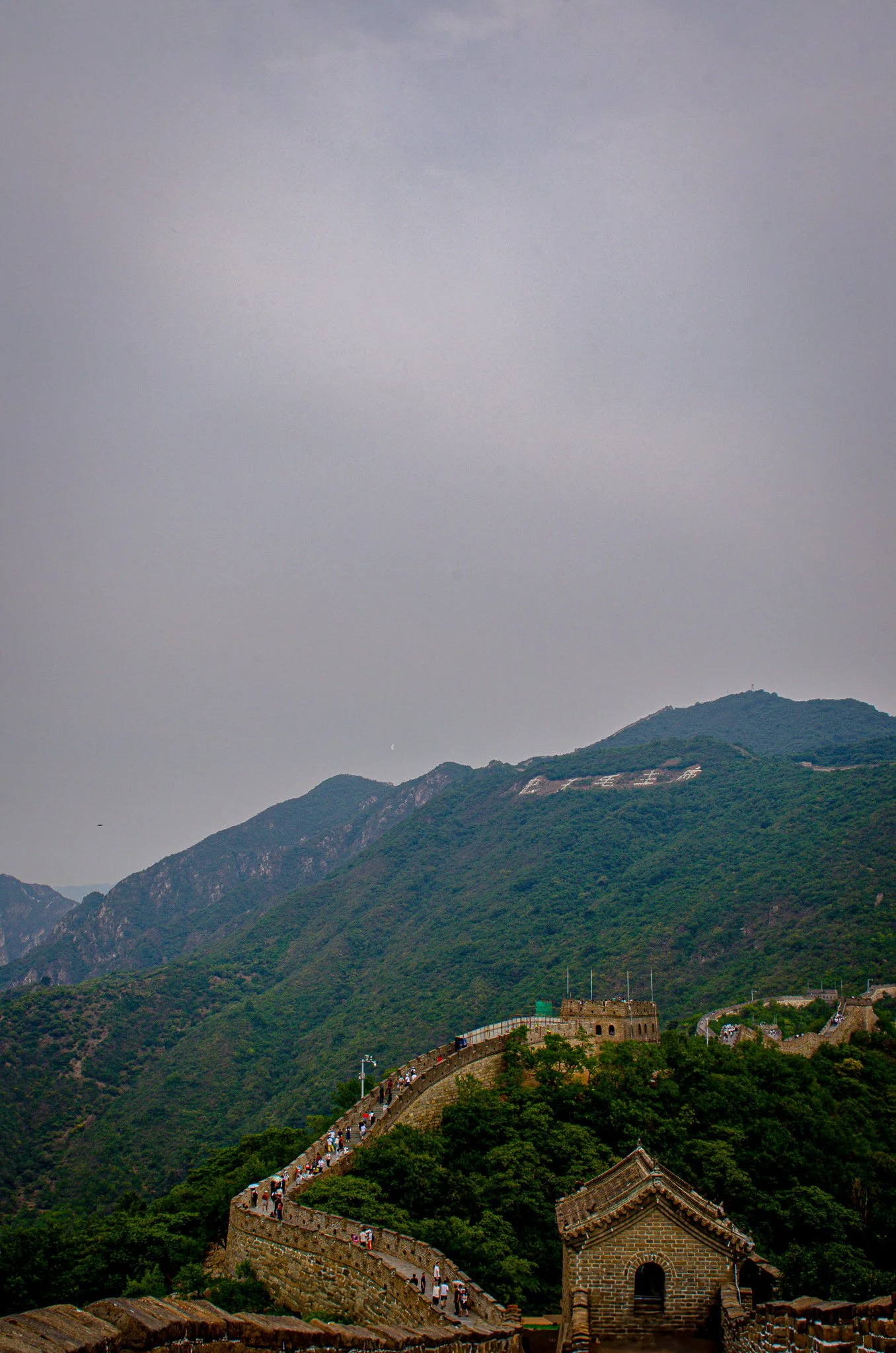 DSC_6450-2.jpg