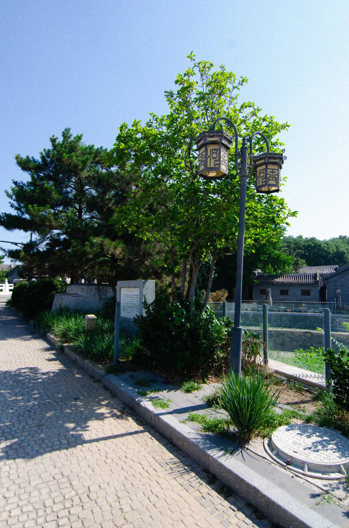 DSC_5010.jpg