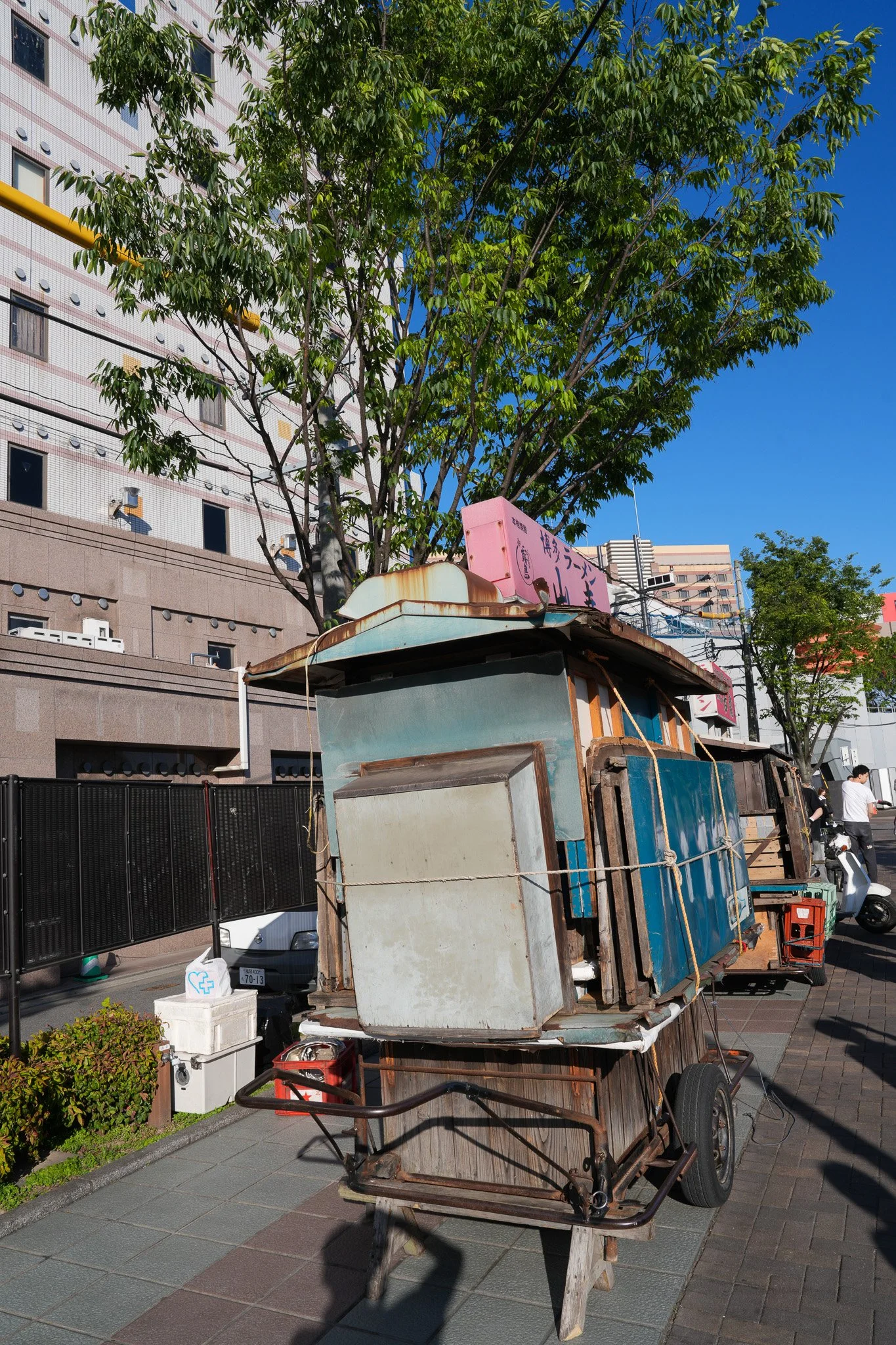 DSC00445.jpg