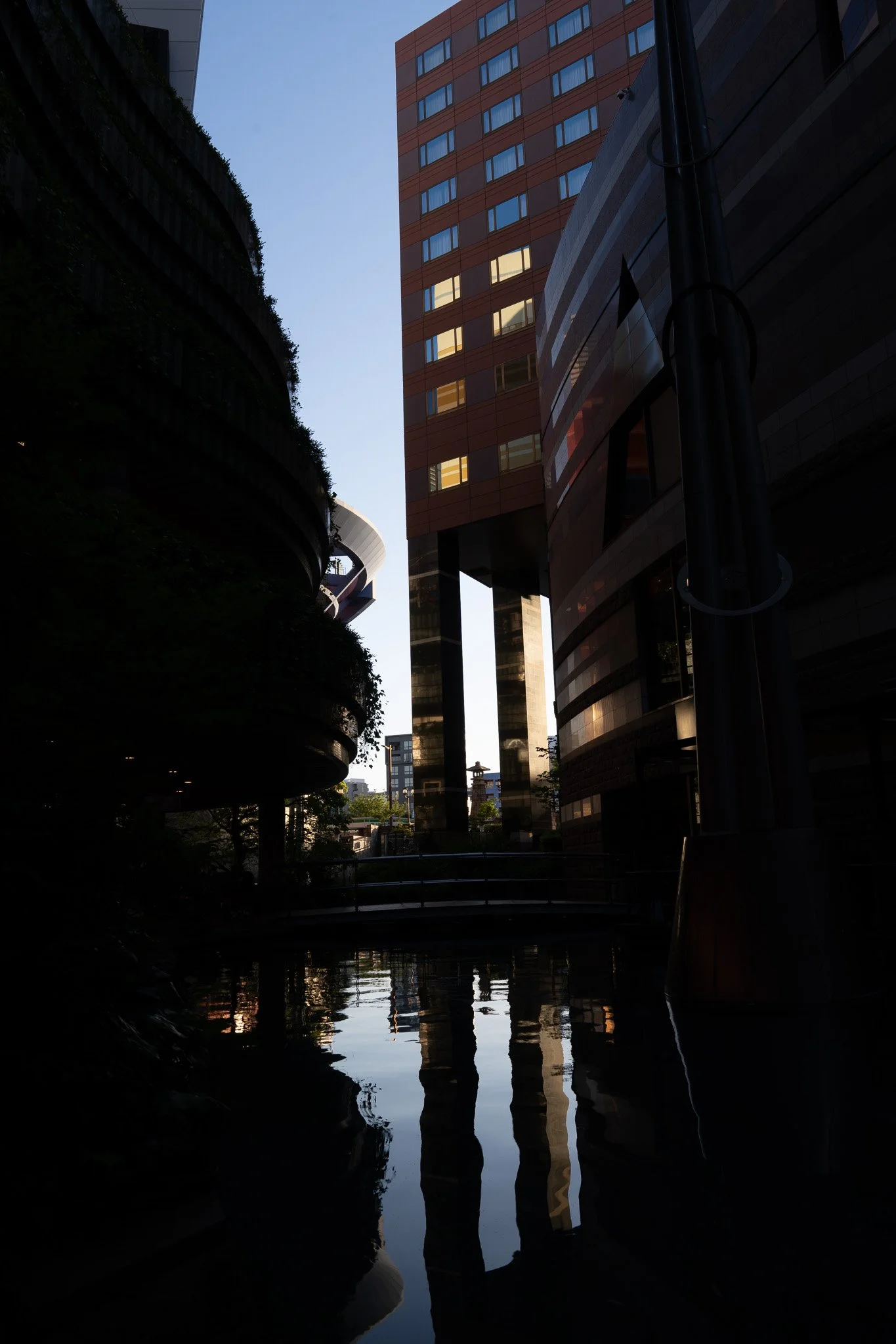 DSC00458.jpg