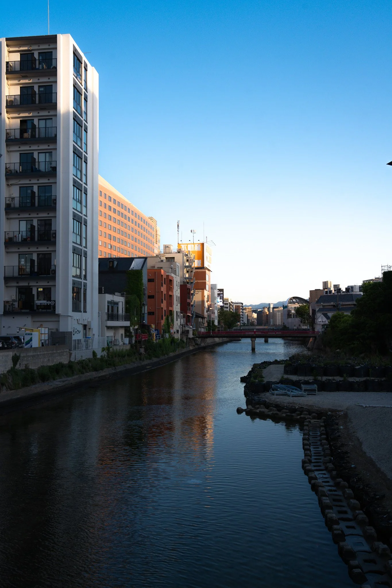 DSC00461.jpg