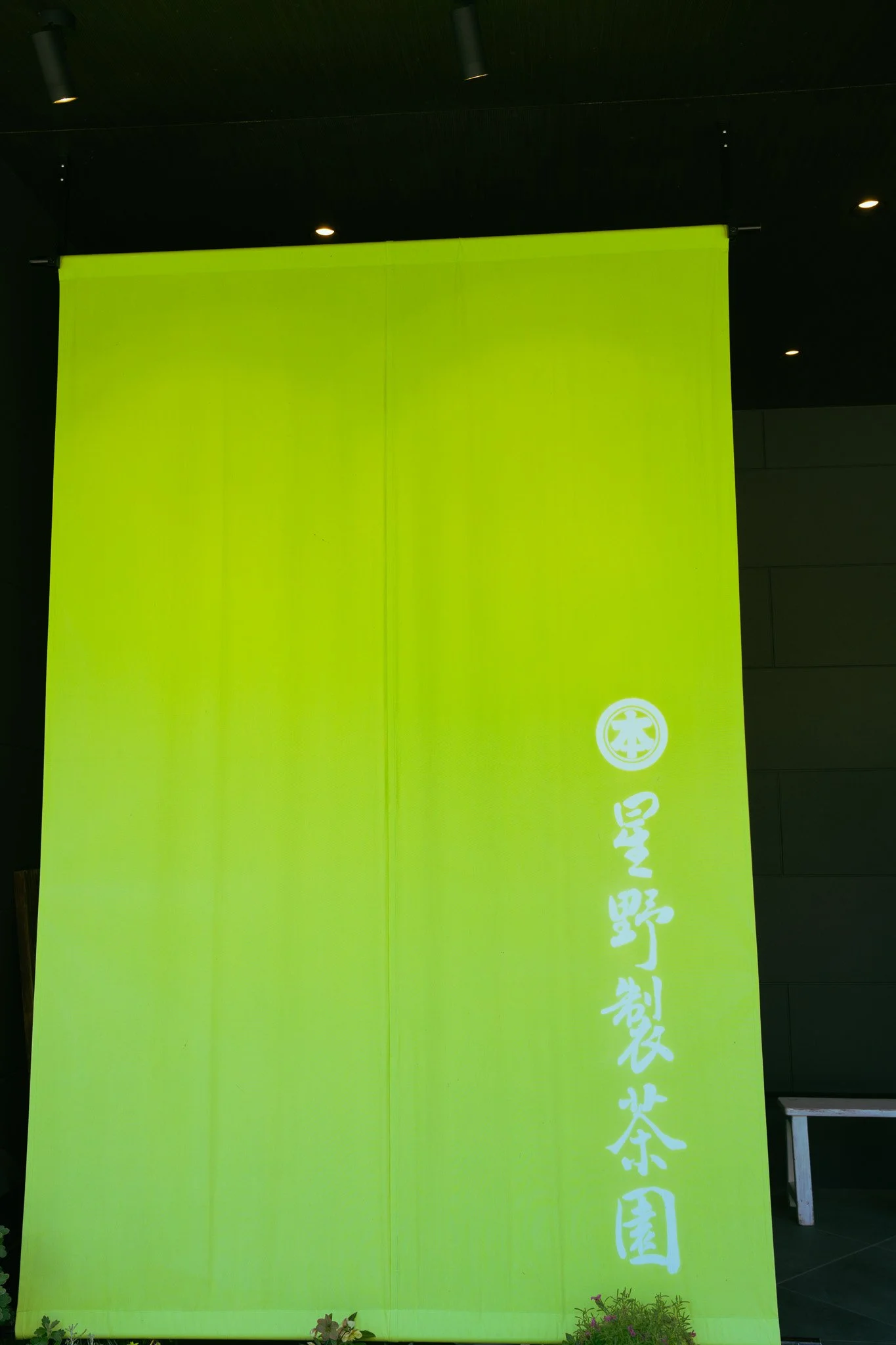 DSC00481.jpg
