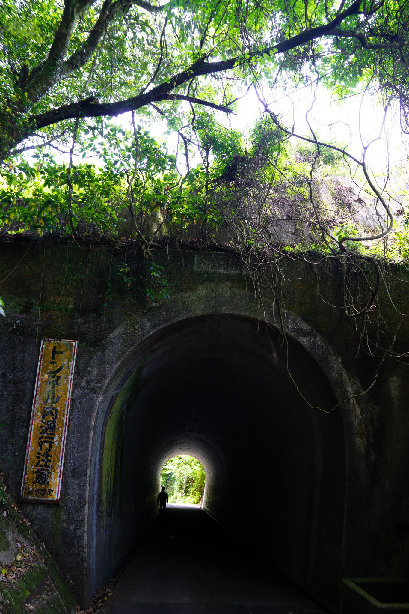 DSC00636.jpg