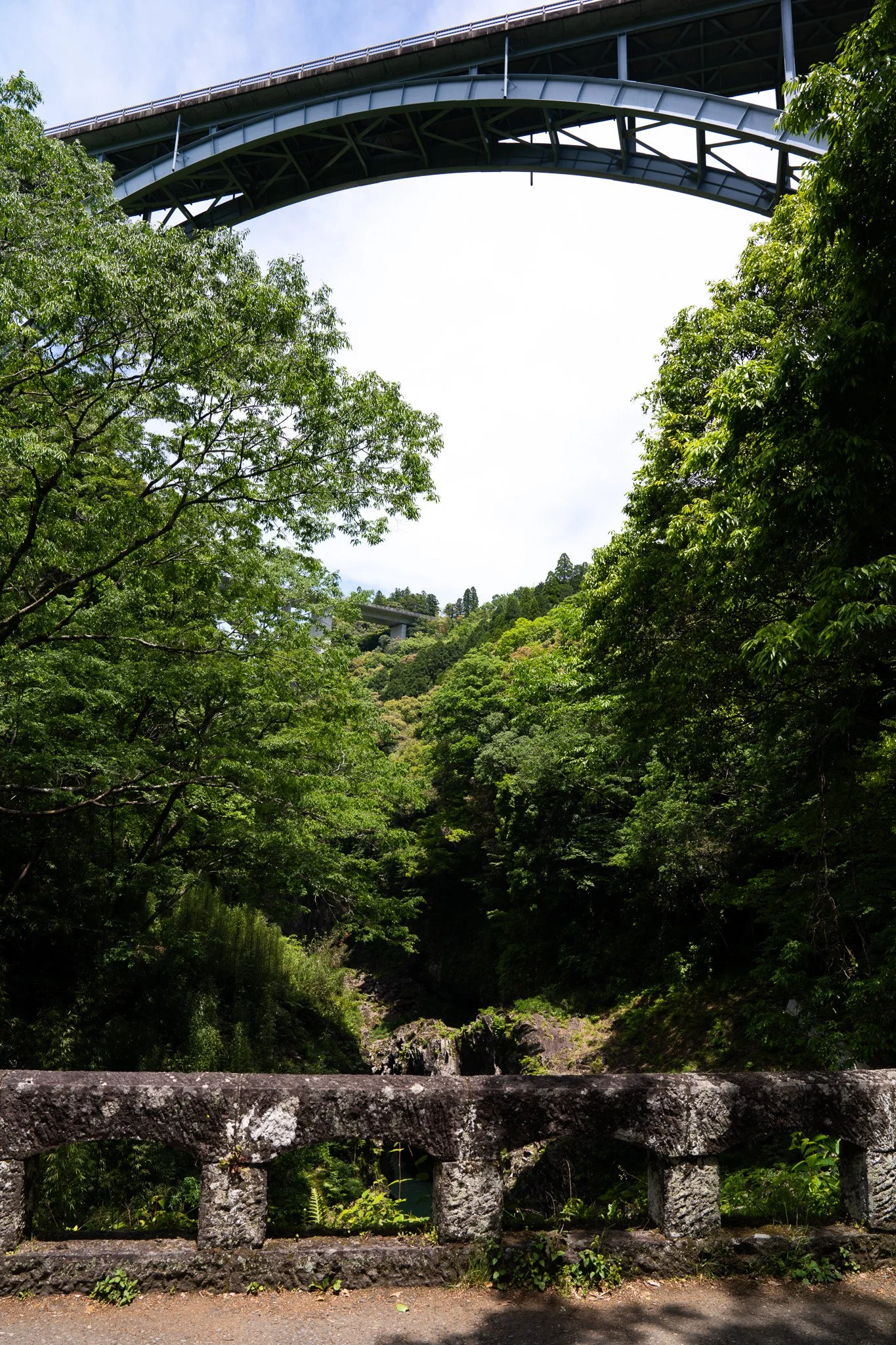 DSC00649.jpg