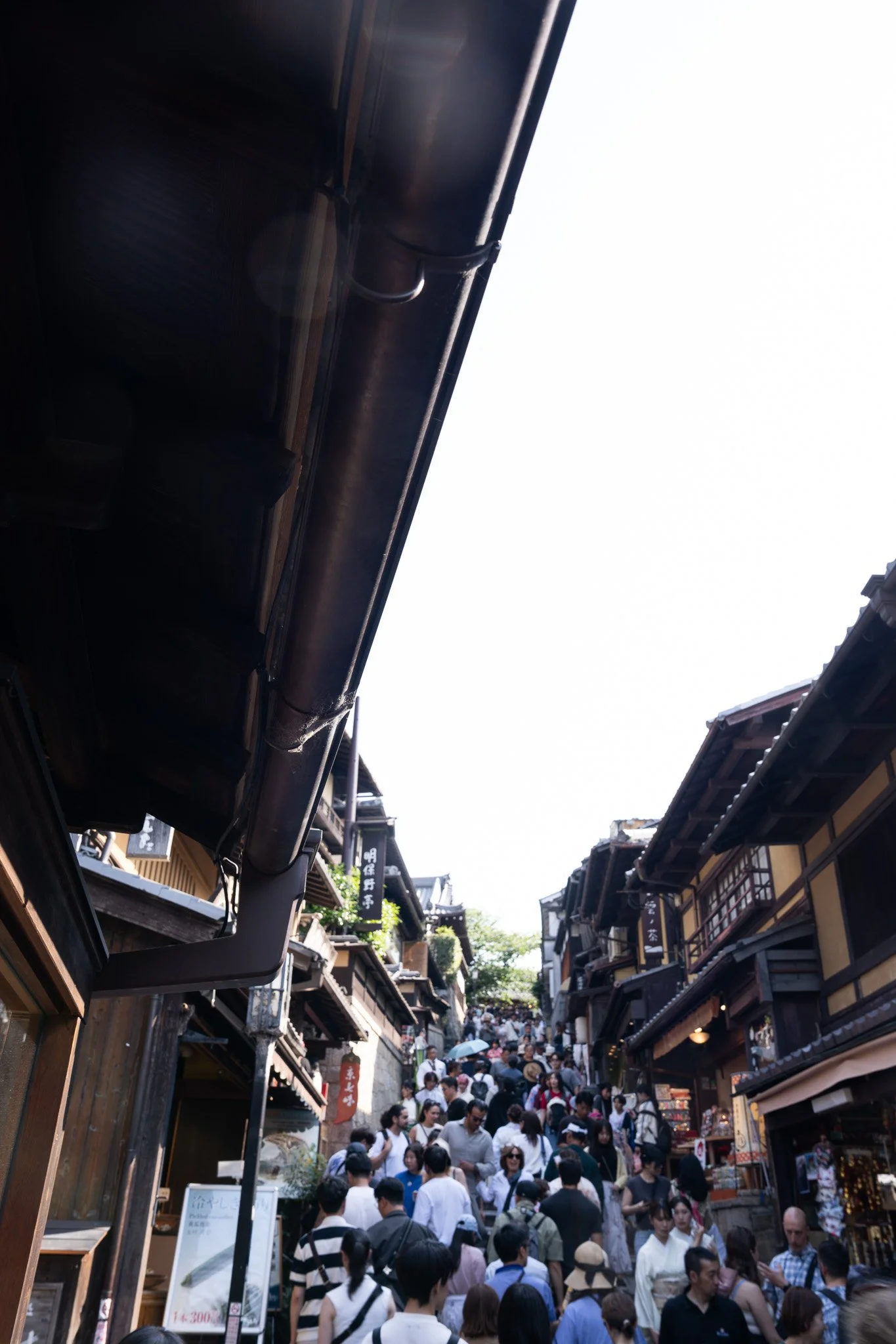 DSC01262.jpg