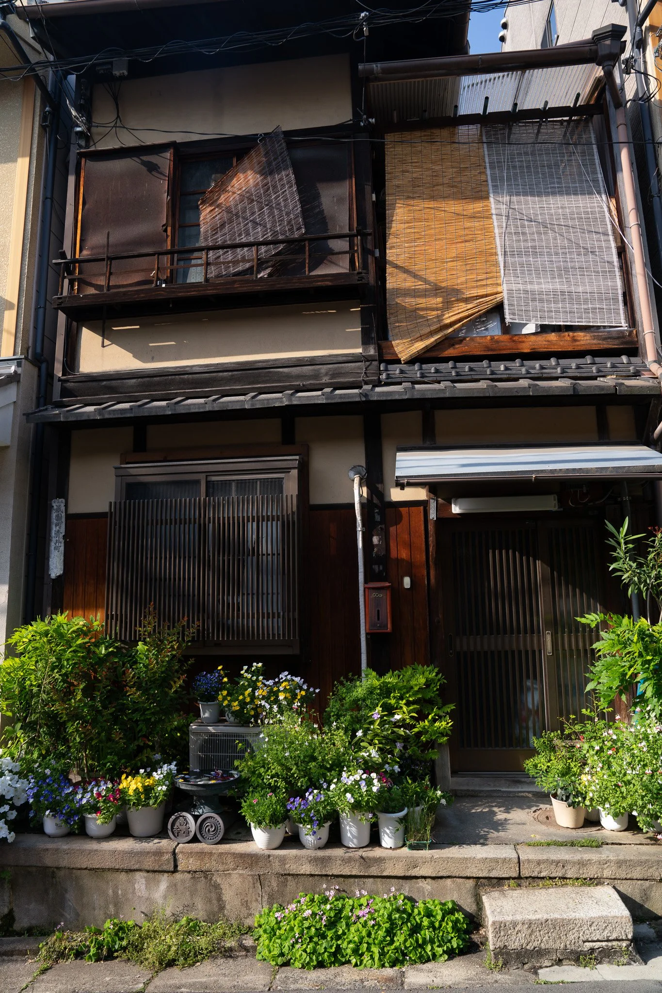 DSC01281.jpg