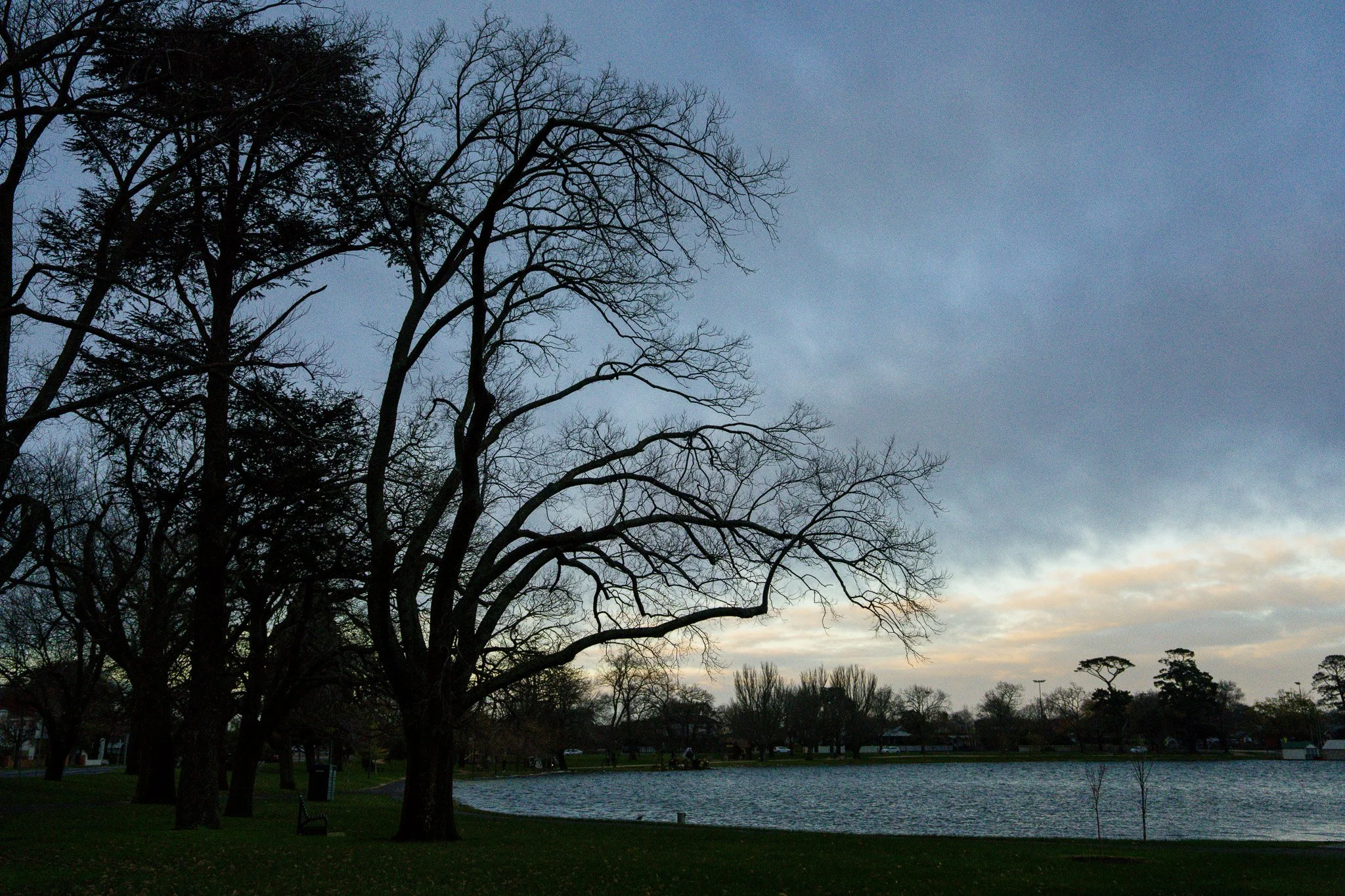 DSC01644.jpg