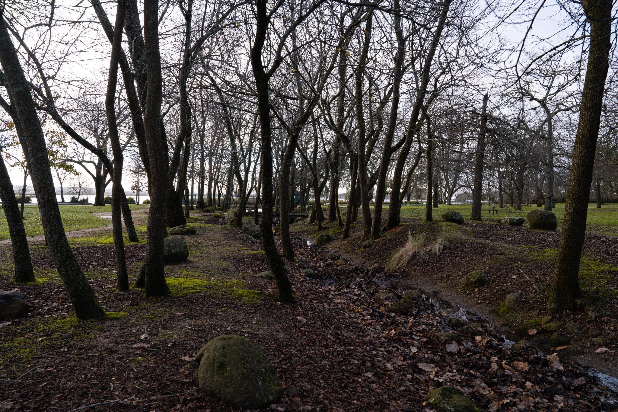 DSC01734.jpg