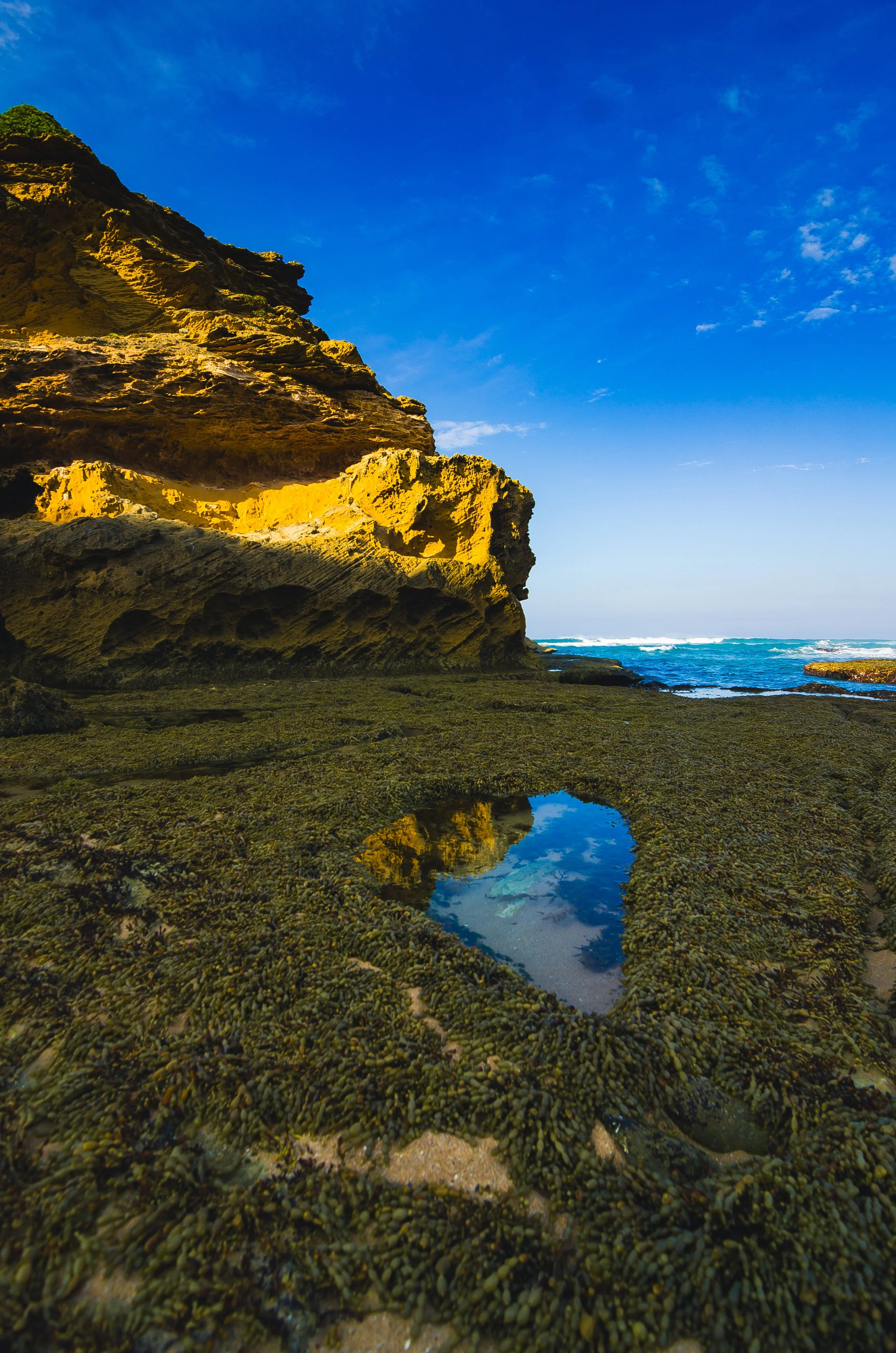 Seaweed covered path to the Arch at Number 16 Beach