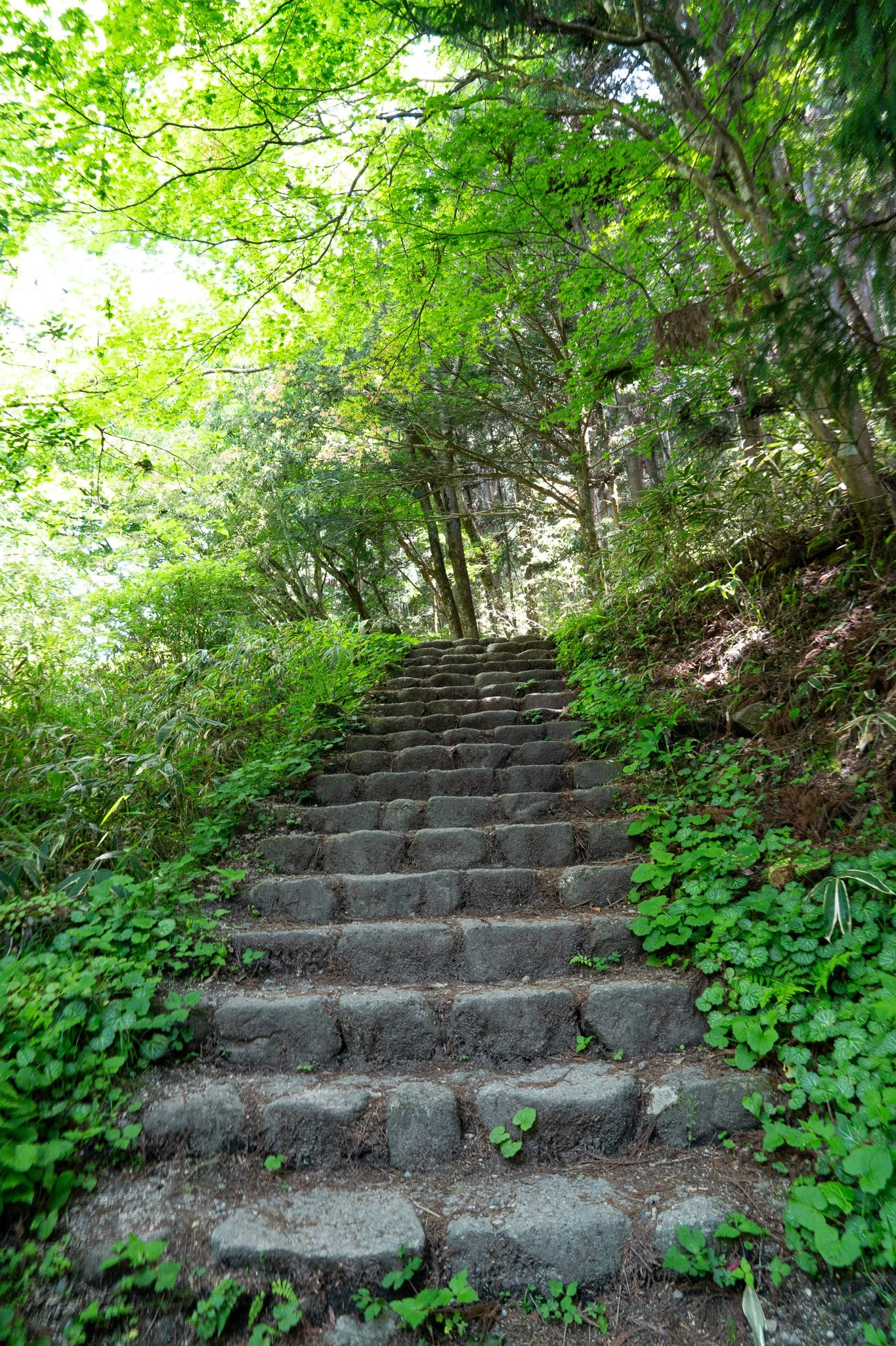 Cobbled Path