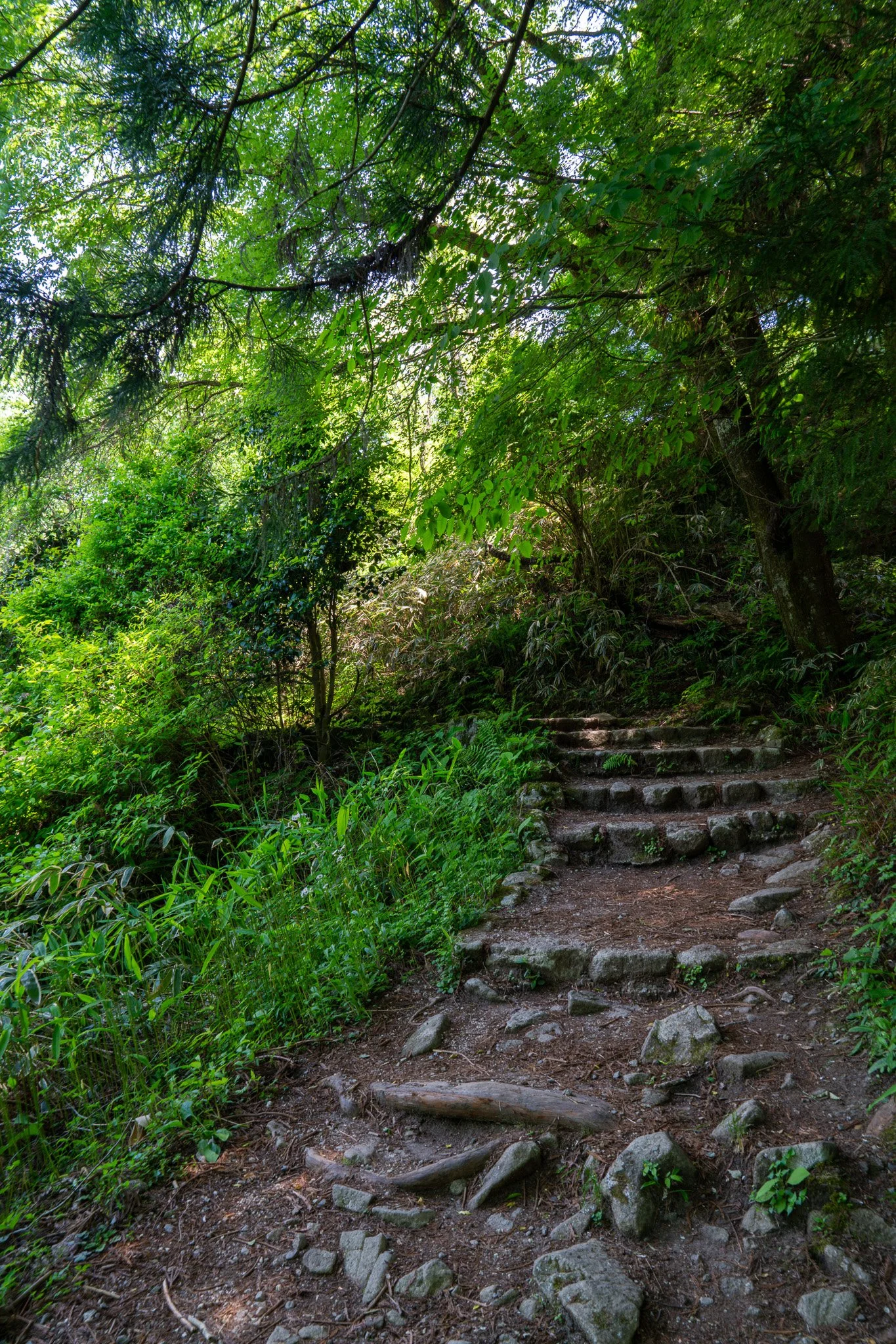 Part cobbled stone path