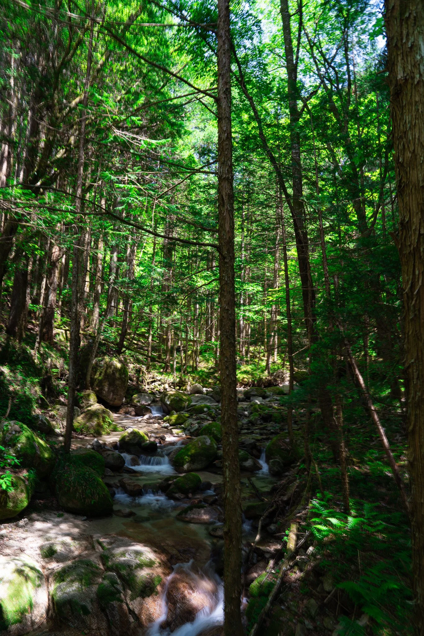 Small creek