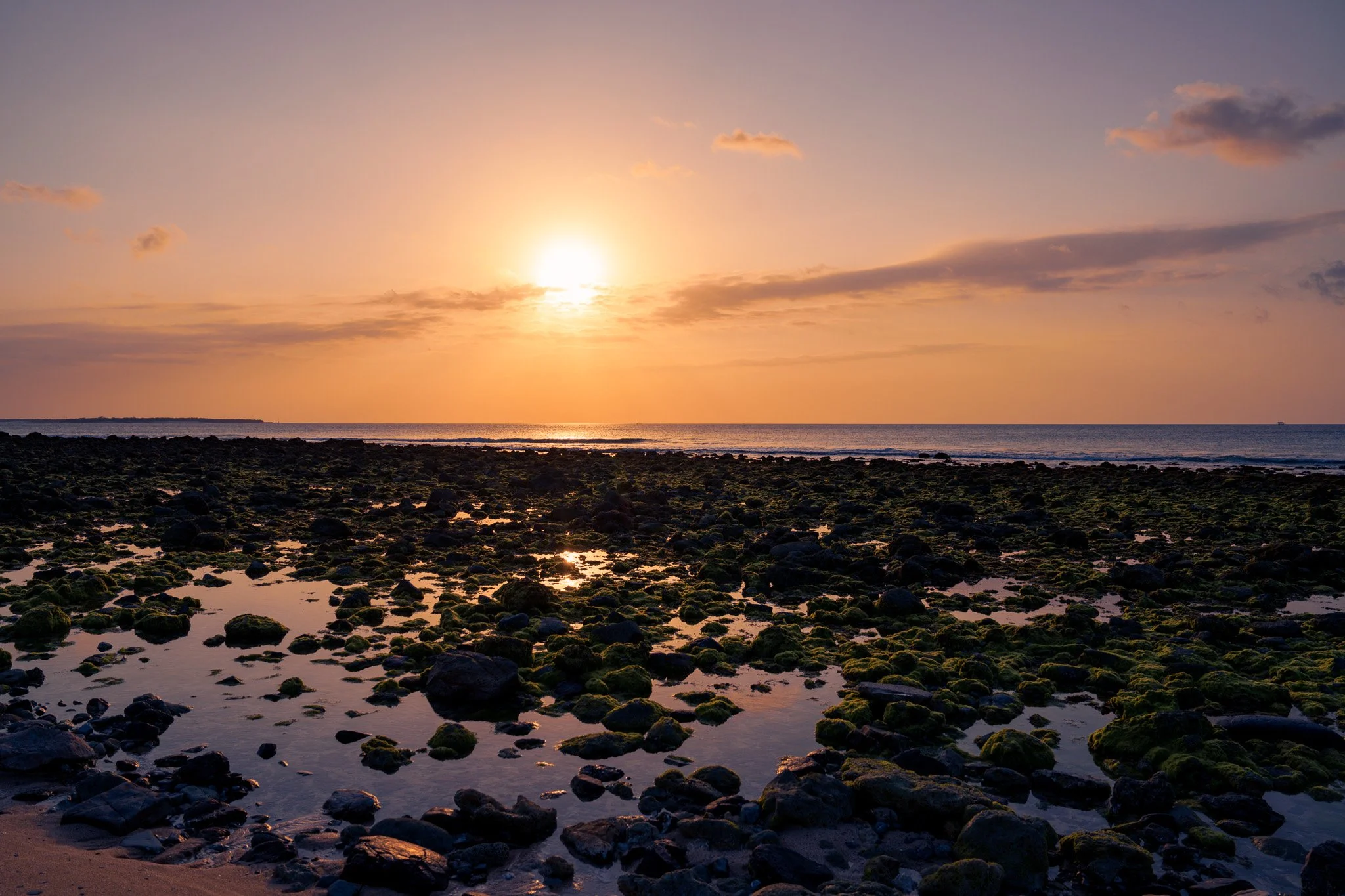 pulau_semau_pantai_liman_sunset_coral_yellow.jpg