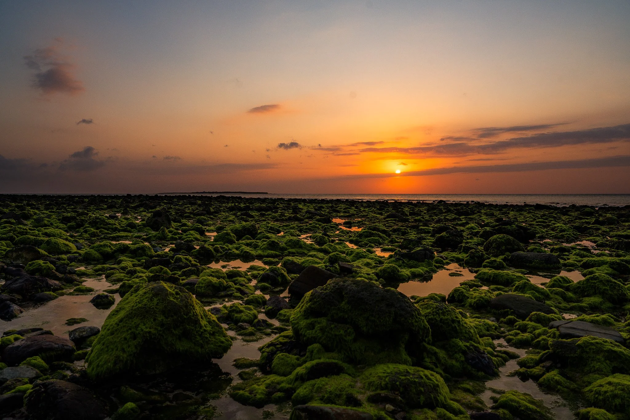 pulau_semau_pantai_liman_sunset_coral_glow.jpg